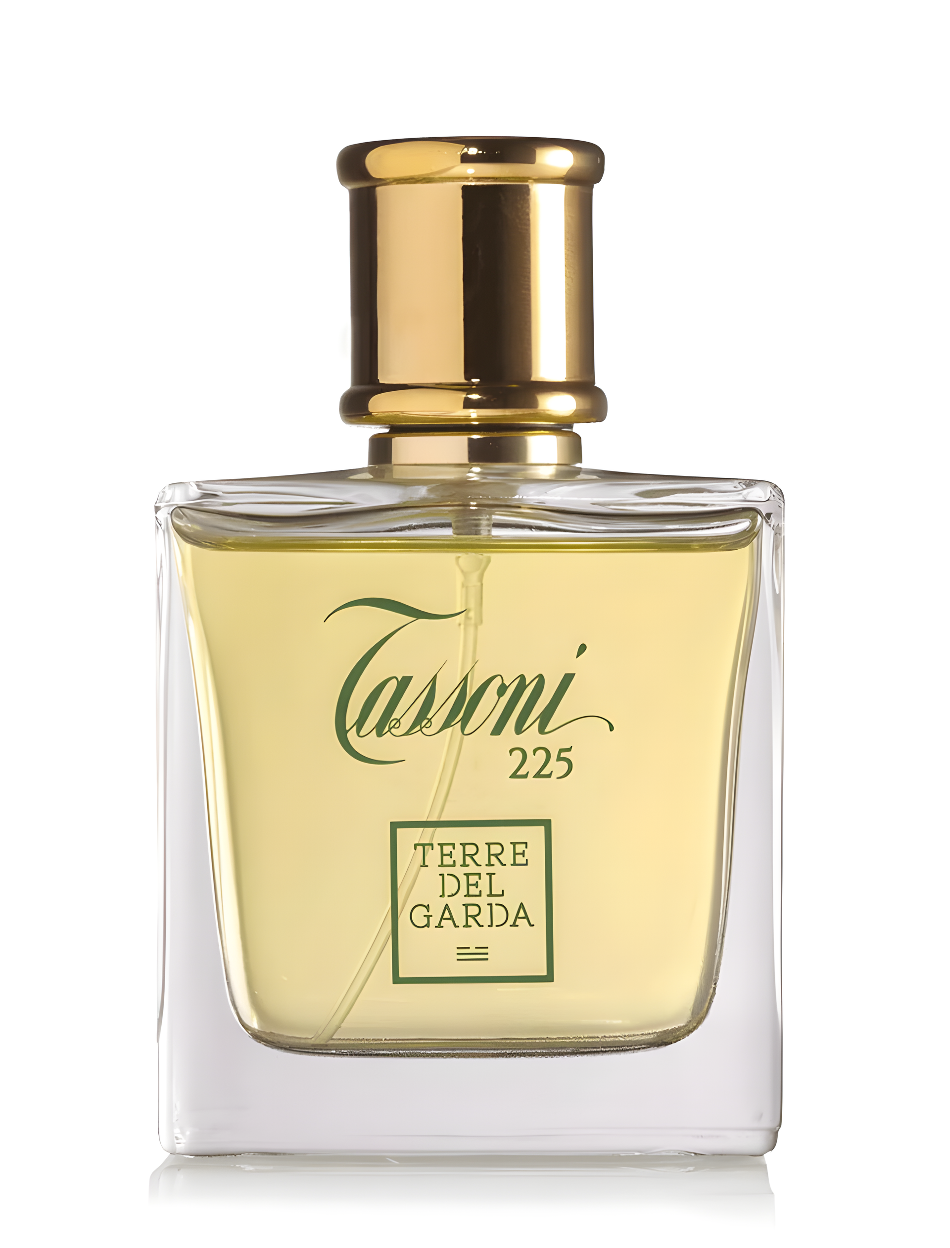 Tassoni 225 by Terre del Garda perfume bottle