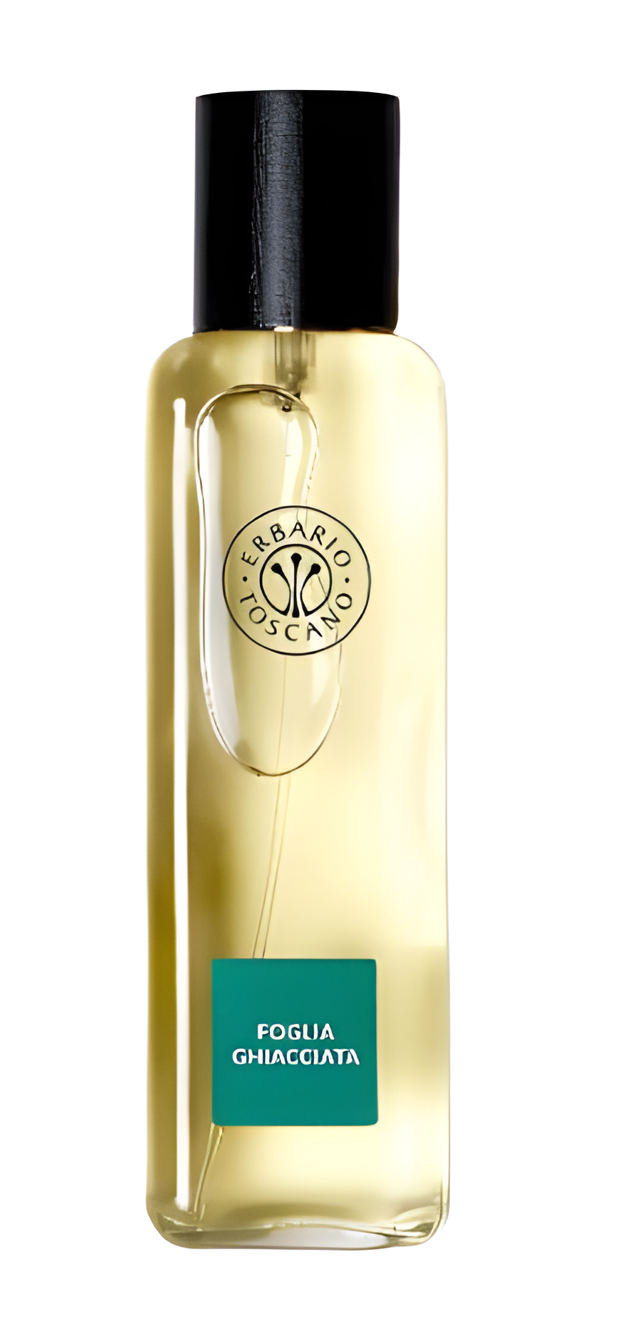 Foglia Ghiacciata by Erbario Toscano perfume bottle
