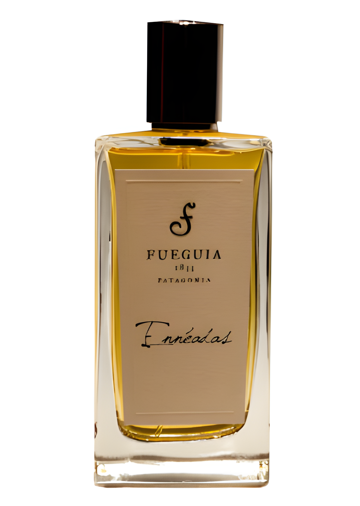 Ennéadas by Fueguia 1833 perfume bottle