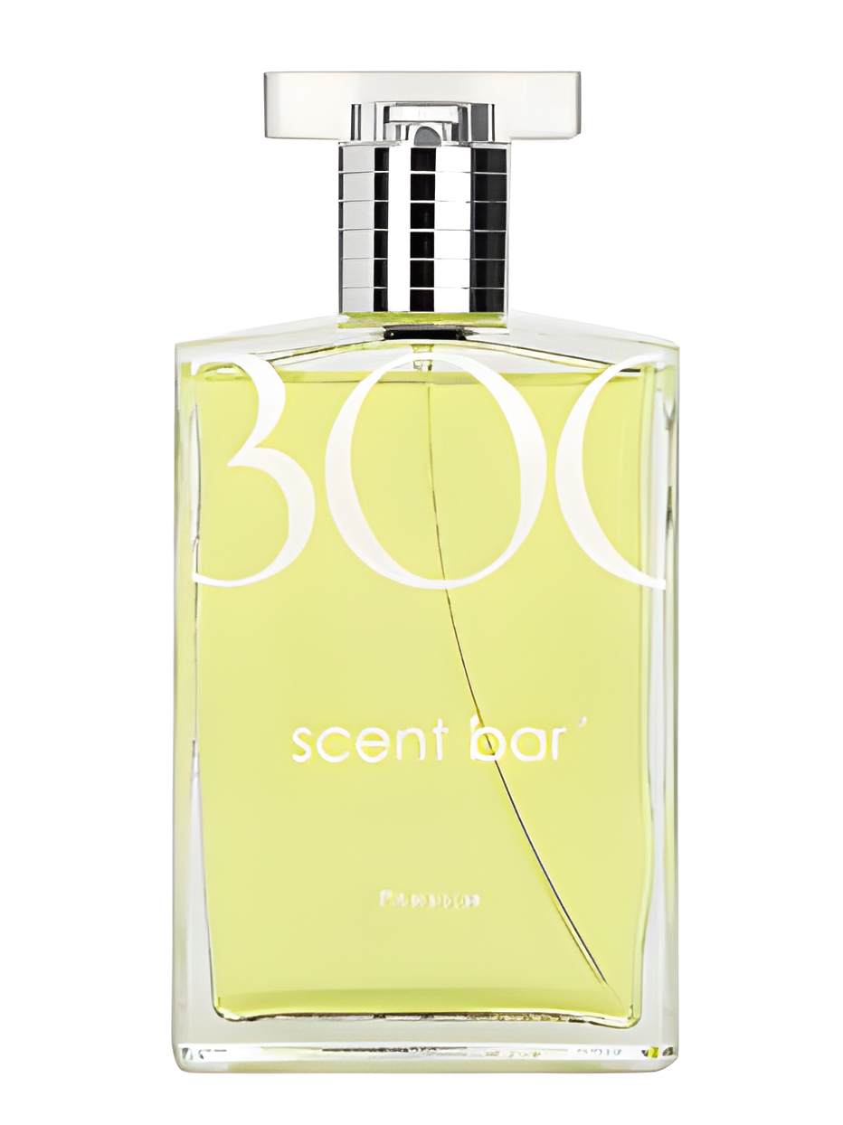 300 by ScentBar perfume bottle