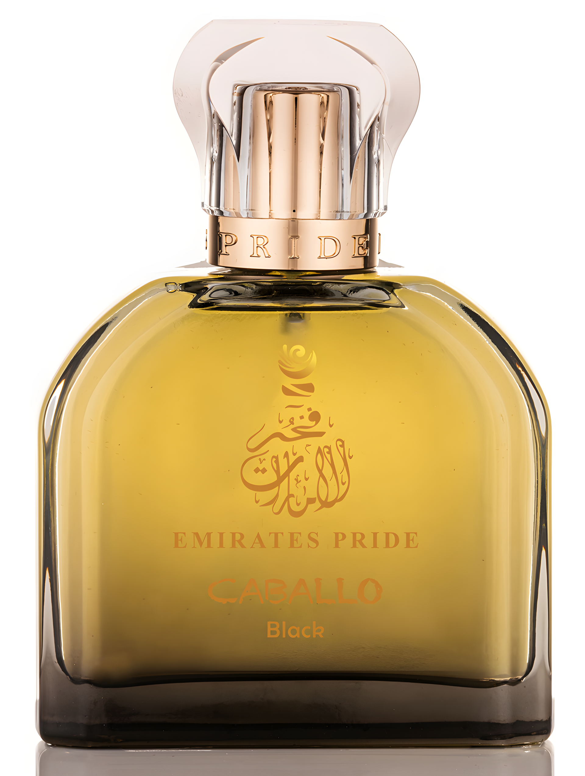 Caballo Black by Emirates Pride Perfumes perfume bottle