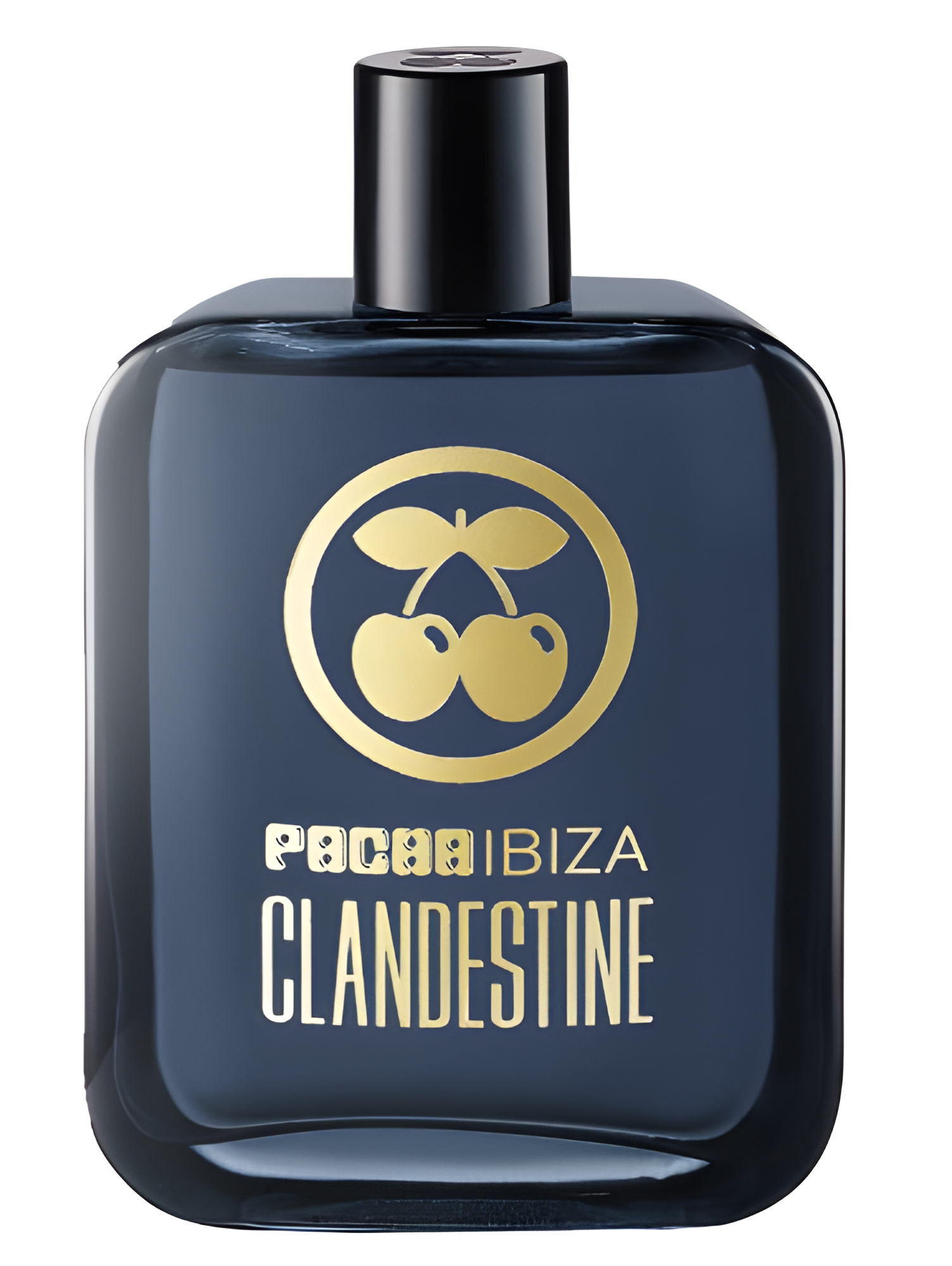 Clandestine for Men by Pacha Ibiza perfume bottle
