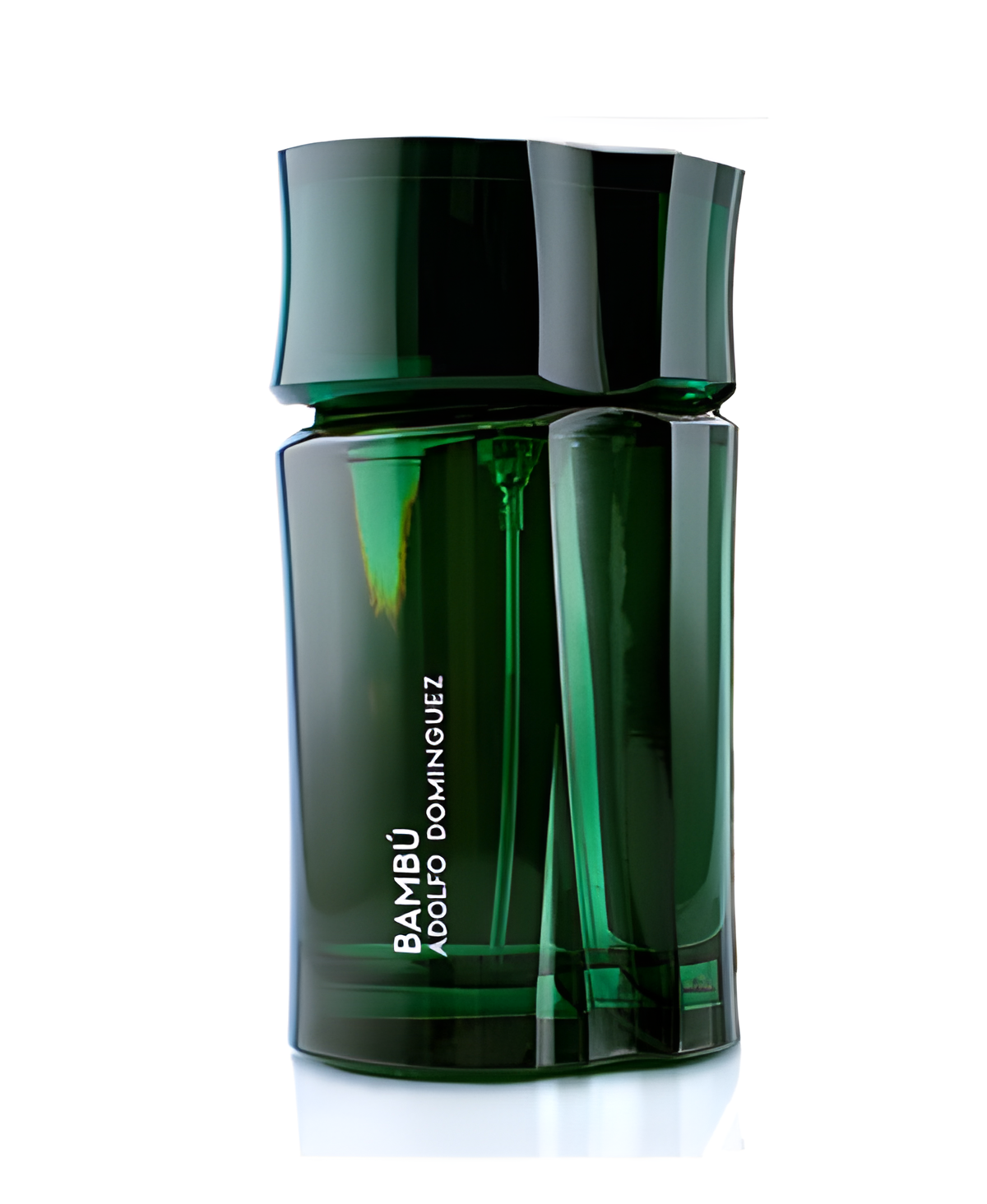 Bambu by Adolfo Dominguez perfume bottle