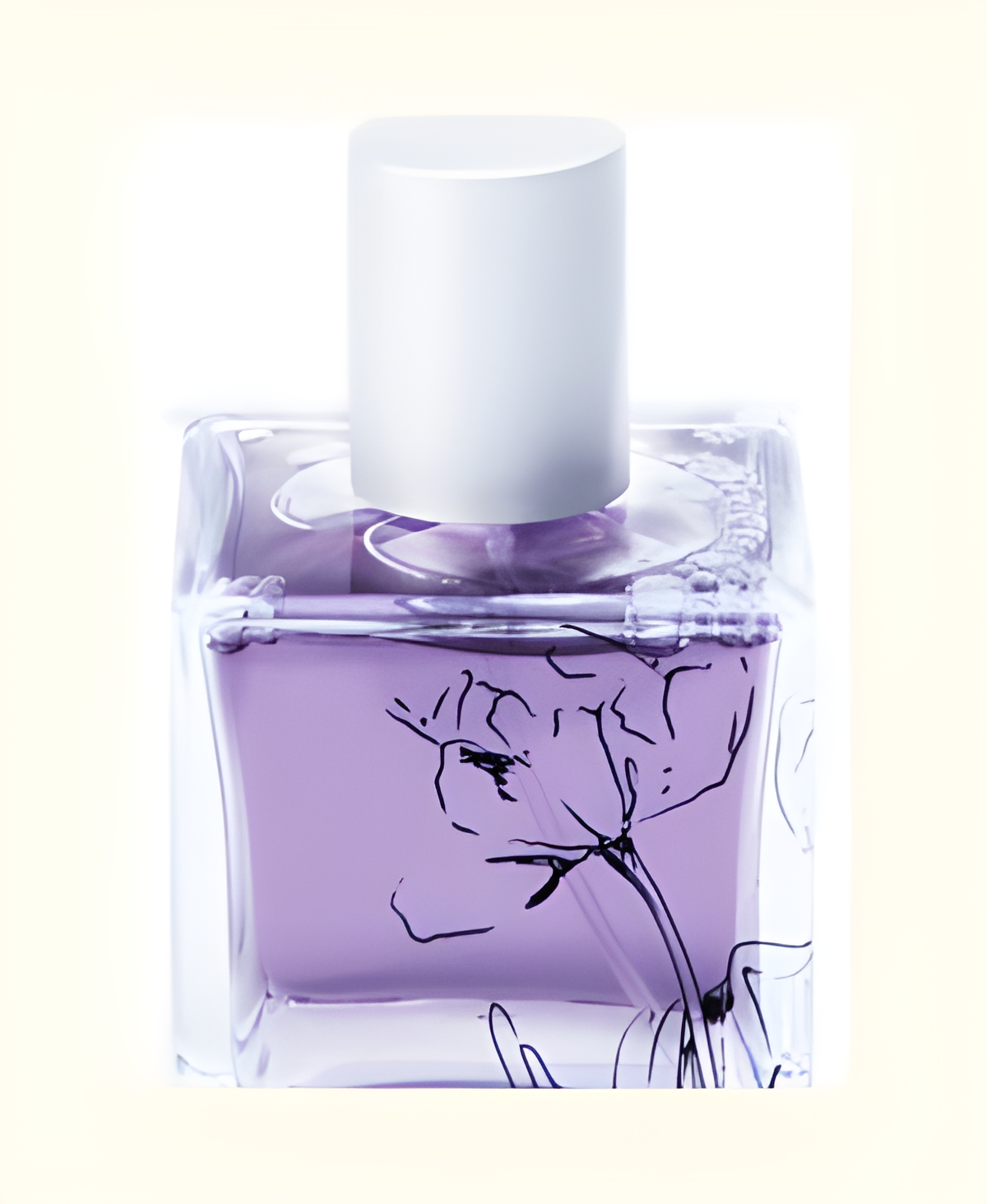 Sands of Morocco by Infusion Organique perfume bottle