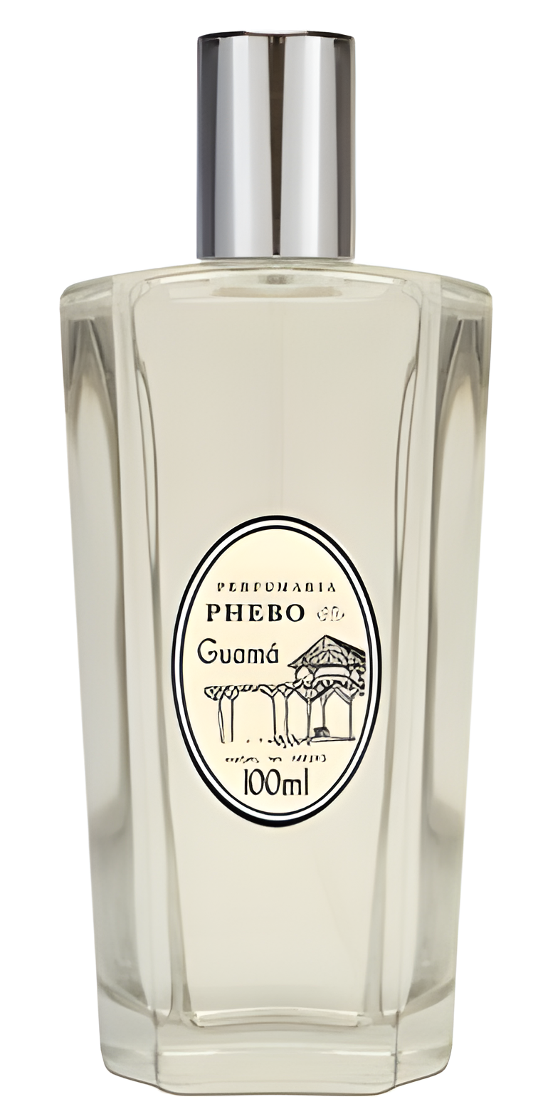 Guamá by Phebo perfume bottle