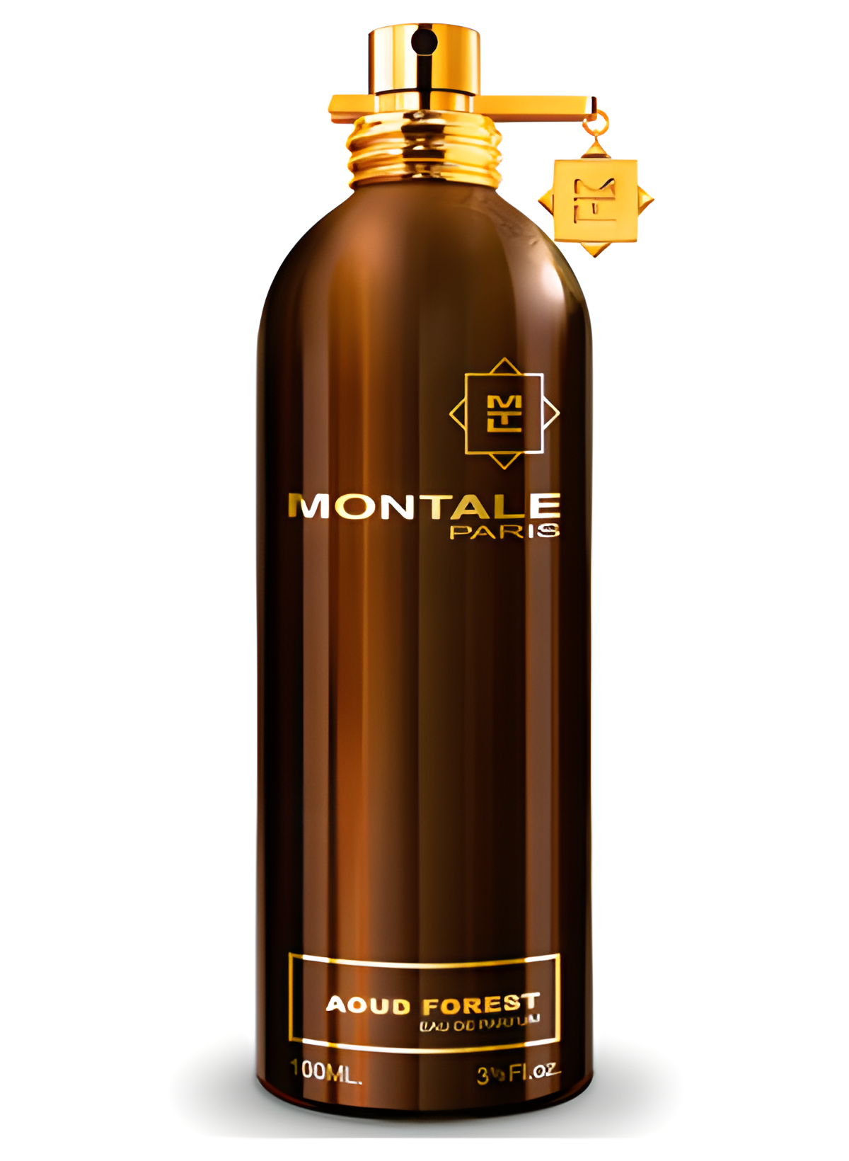Aoud Forest by Montale perfume bottle