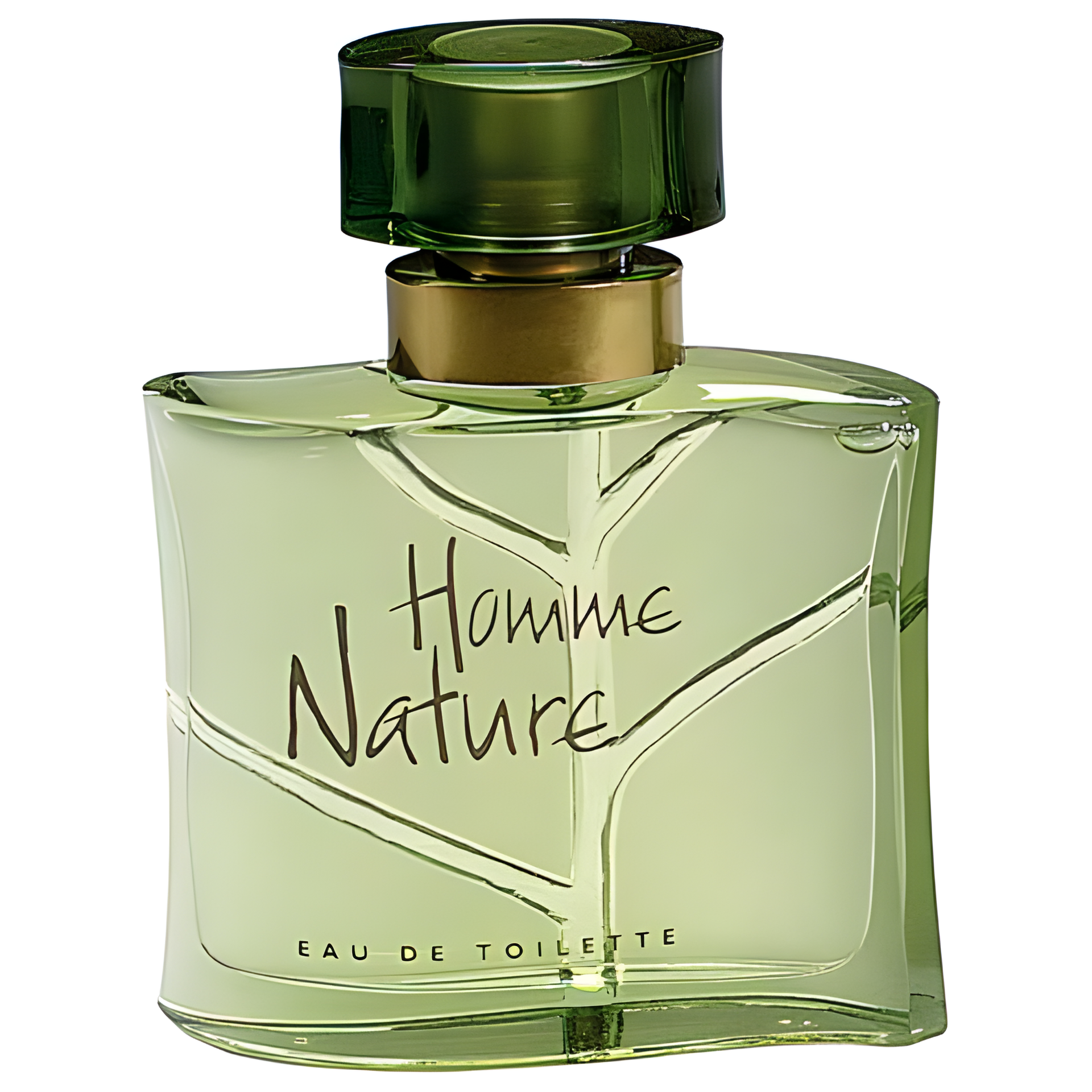Homme Nature by Yves Rocher perfume bottle