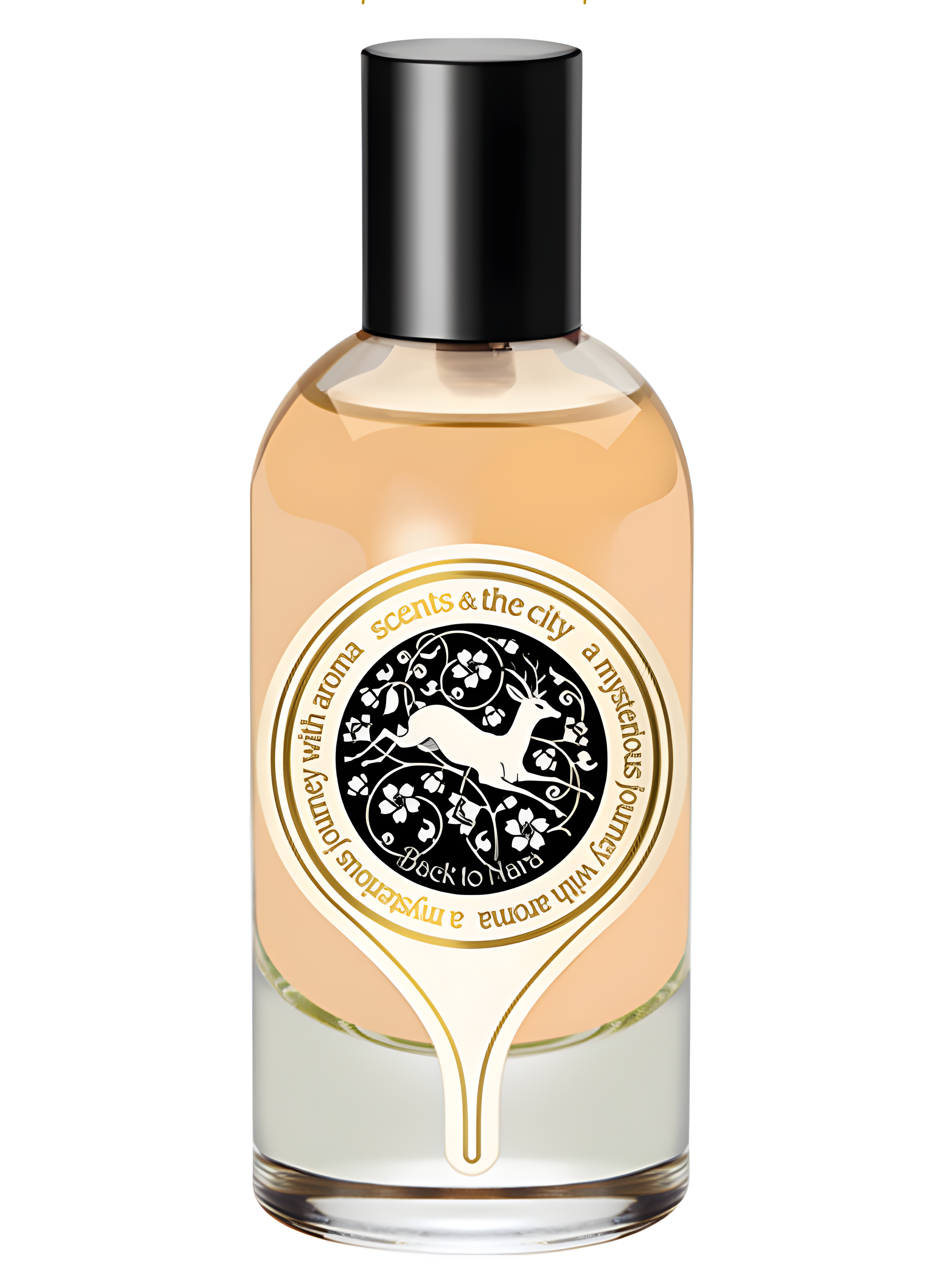 Back to Nara 梦回奈良 by Scents & The City 寻味地图 perfume bottle