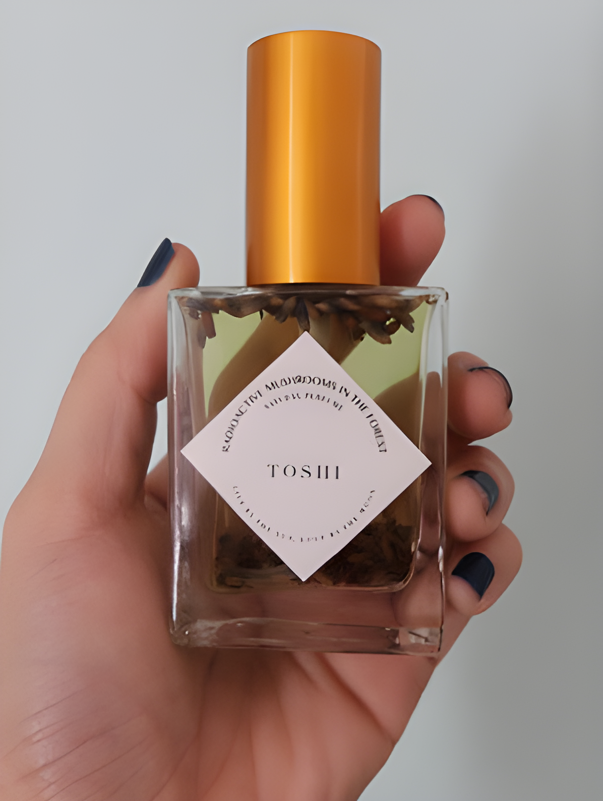 Toshi by Radioactive Mushrooms in the Forest perfume bottle