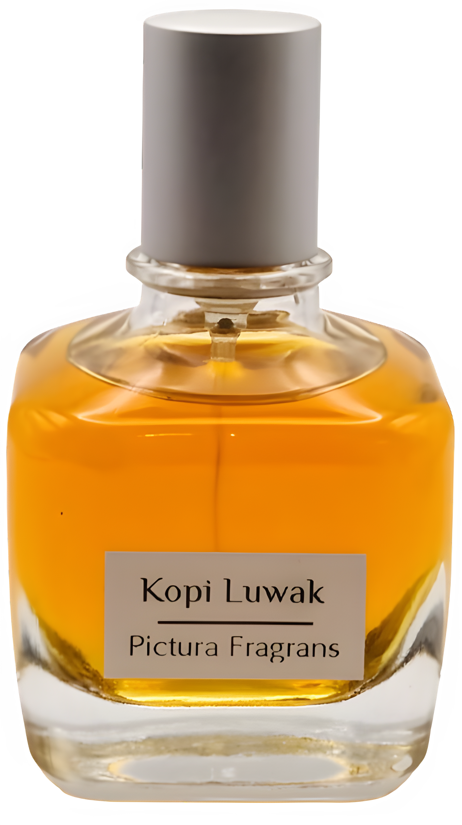 Kopi Luwak by Pictura Fragrans perfume bottle