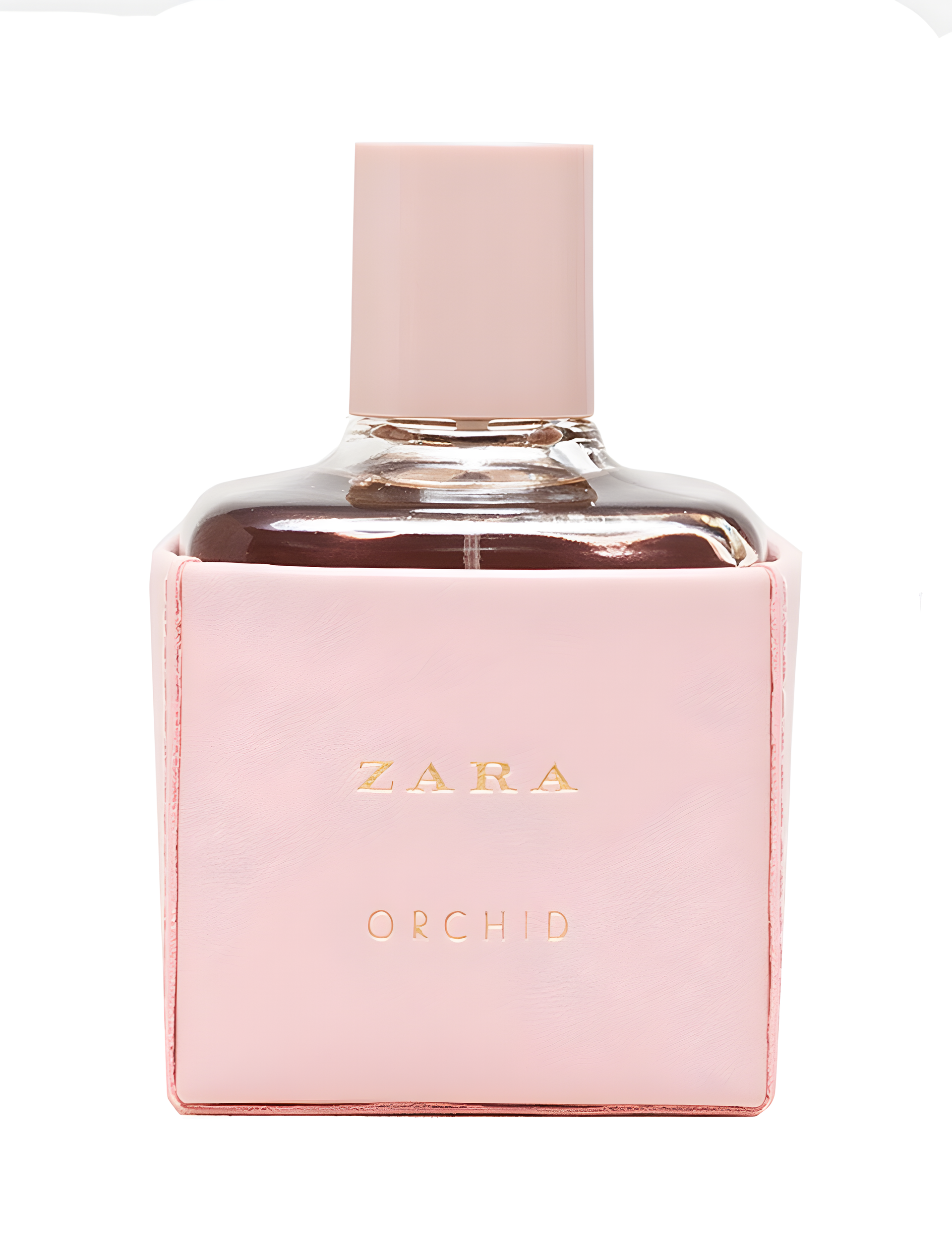 Zara Orchid 2016 by Zara