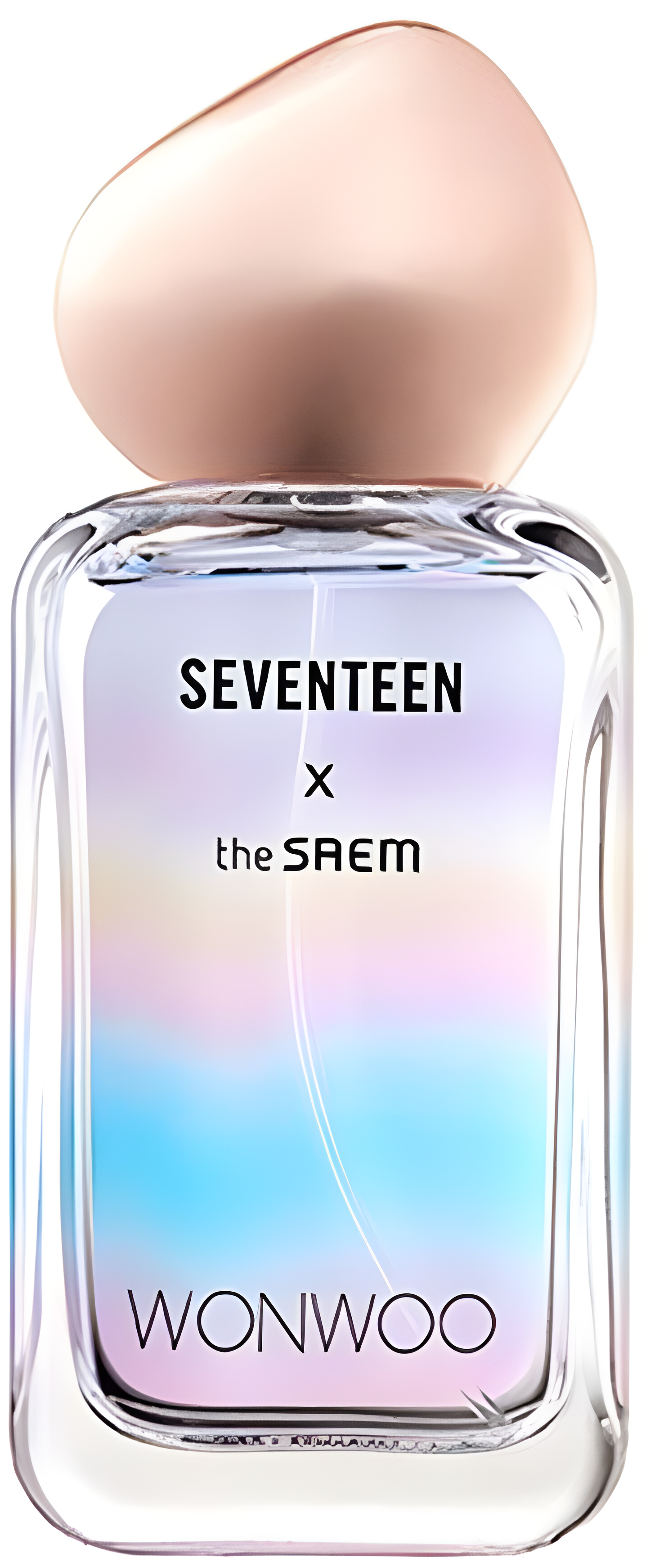 Seventeen X Wonwoo by The SAEM perfume bottle