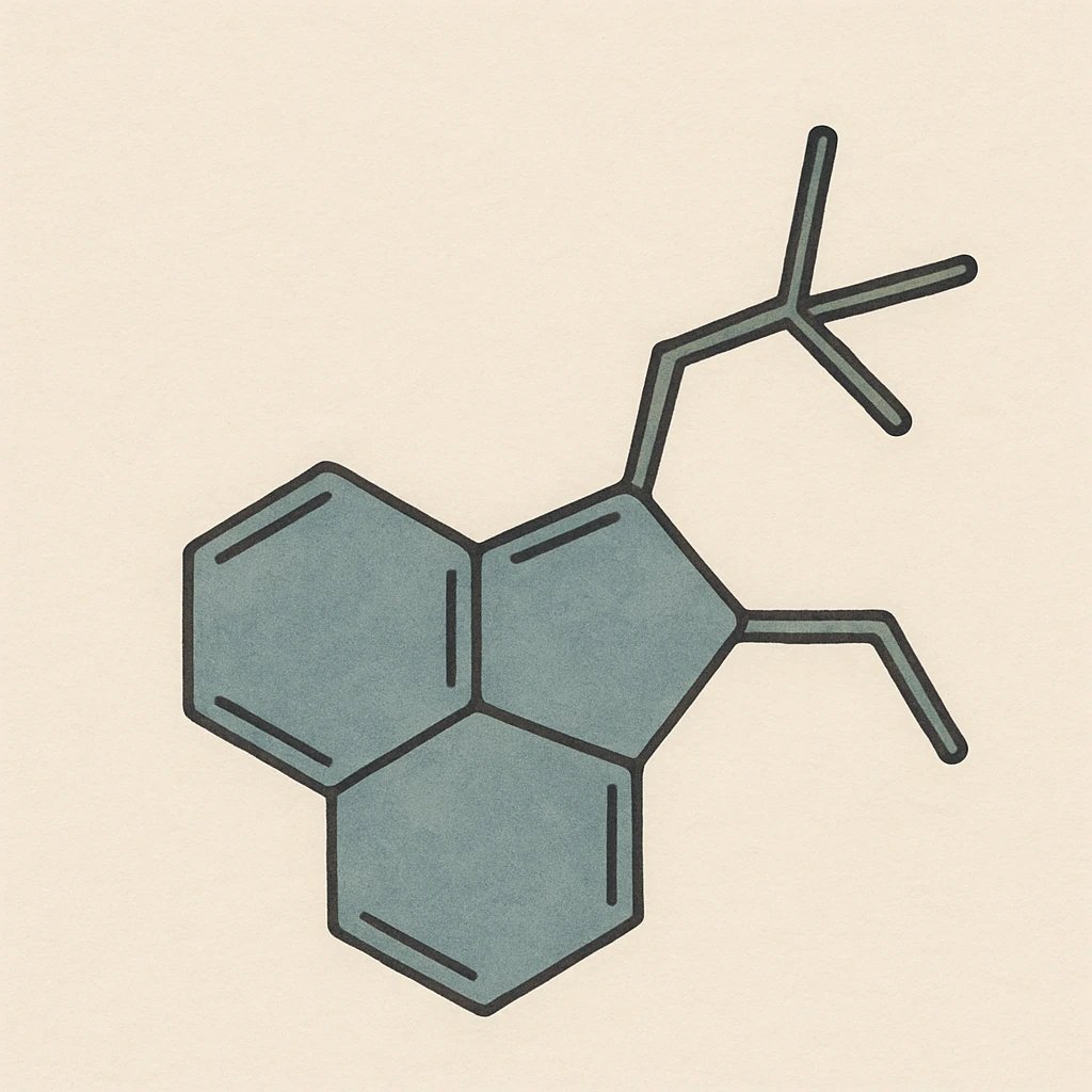 Picture of Sclarene note