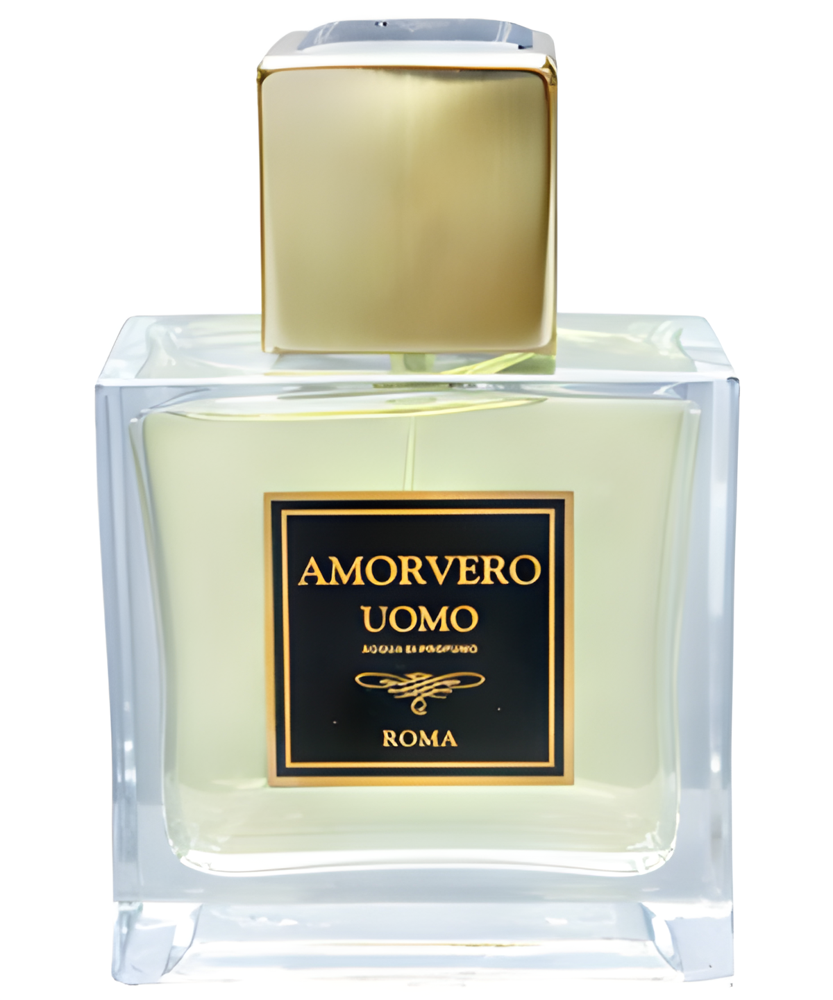 Amorvero Uomo by Hotel Hassler Roma perfume bottle