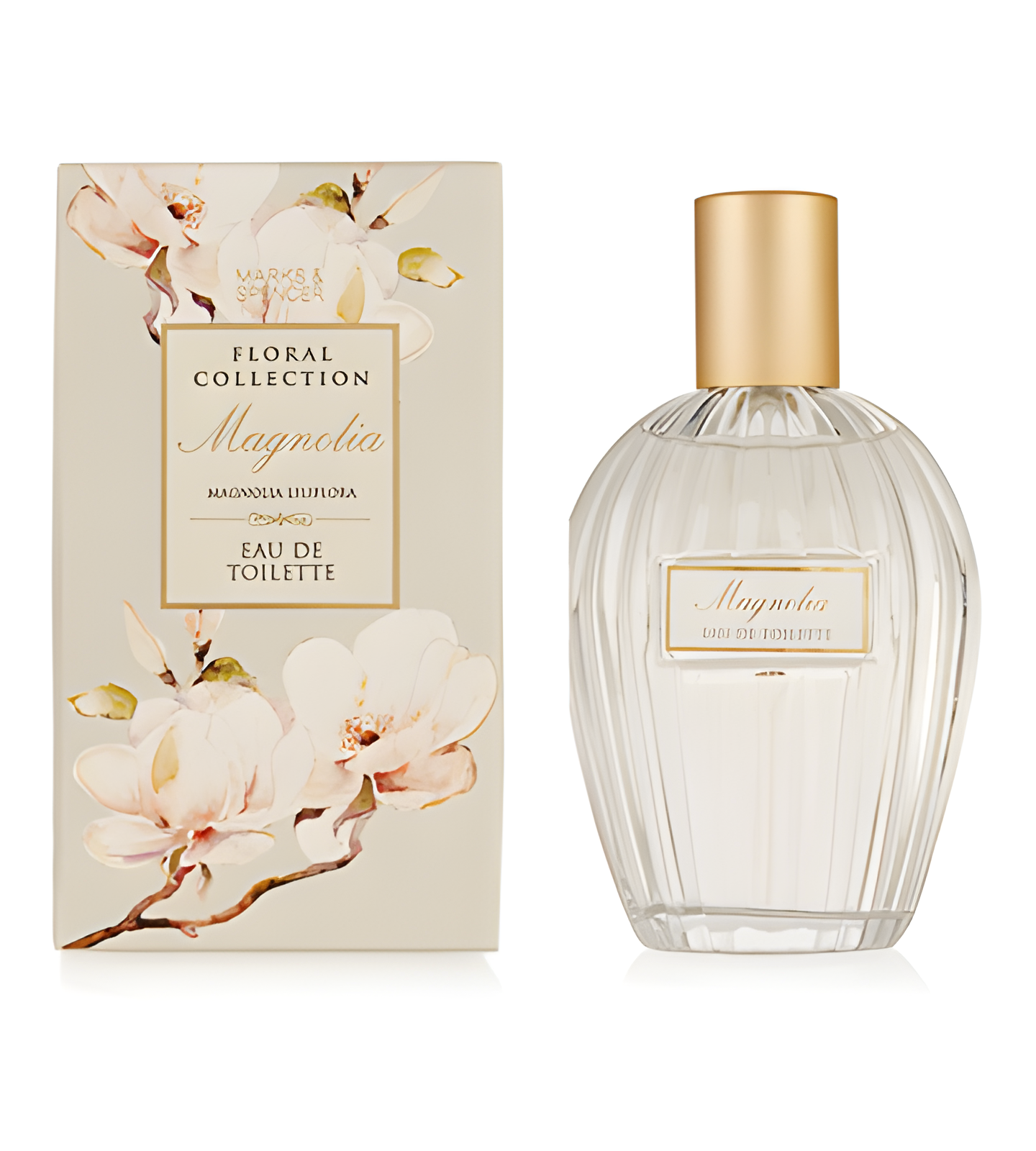Magnolia by Marks & Spencer perfume bottle