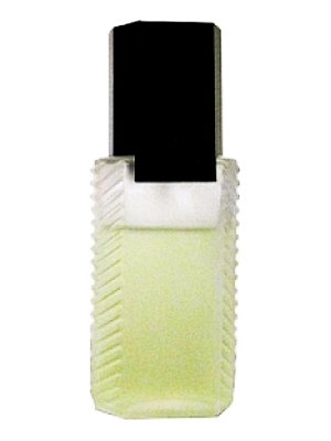 Eau Givree by Avon perfume bottle