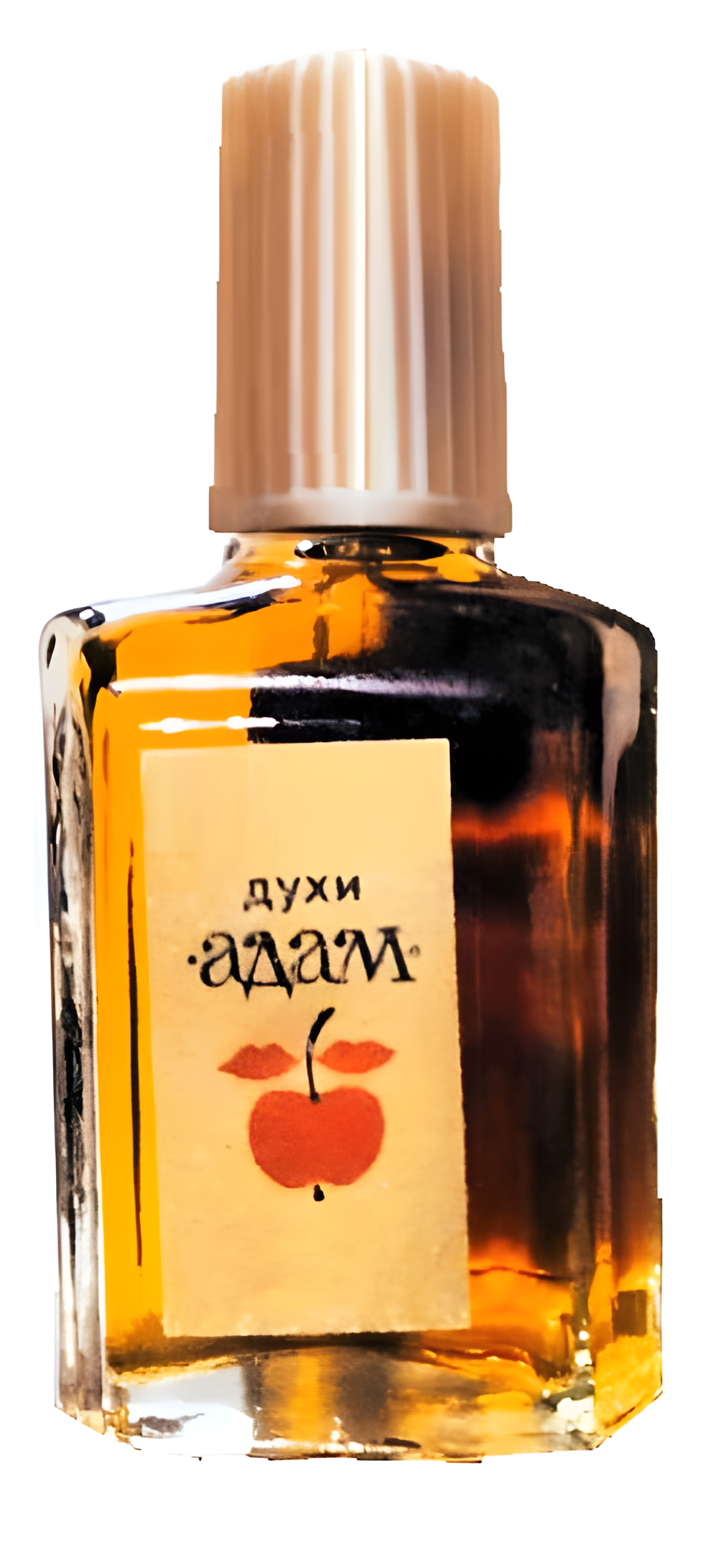 Адам - Adam by Харьковская парфюмерно-косметическая фабрика - Kharkov perfume factory perfume bottle