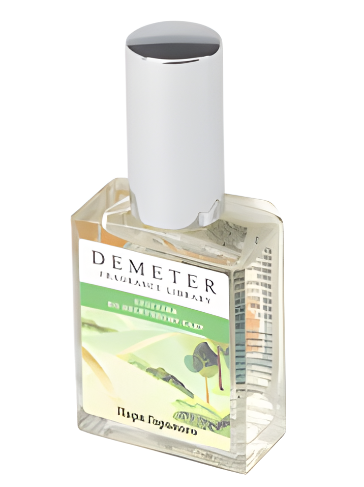 Progulka Po Neskuchnomu Sady by Demeter Fragrance perfume bottle