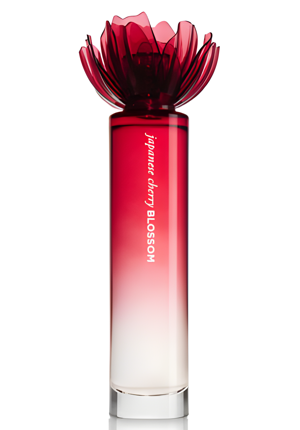 Japanese Cherry Blossom 2011 by Bath & Body Works perfume bottle