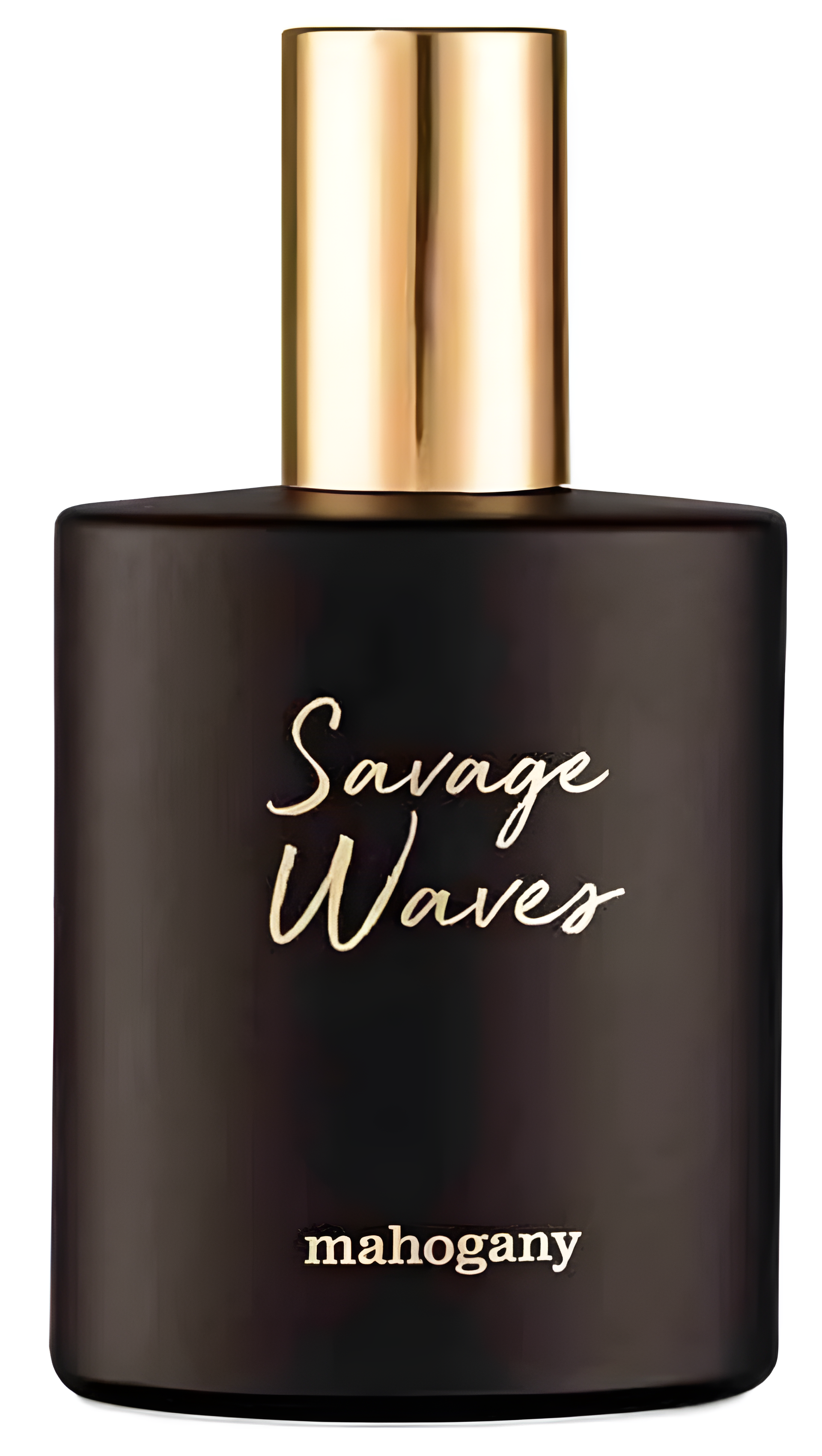 Savage Waves by Mahogany perfume bottle