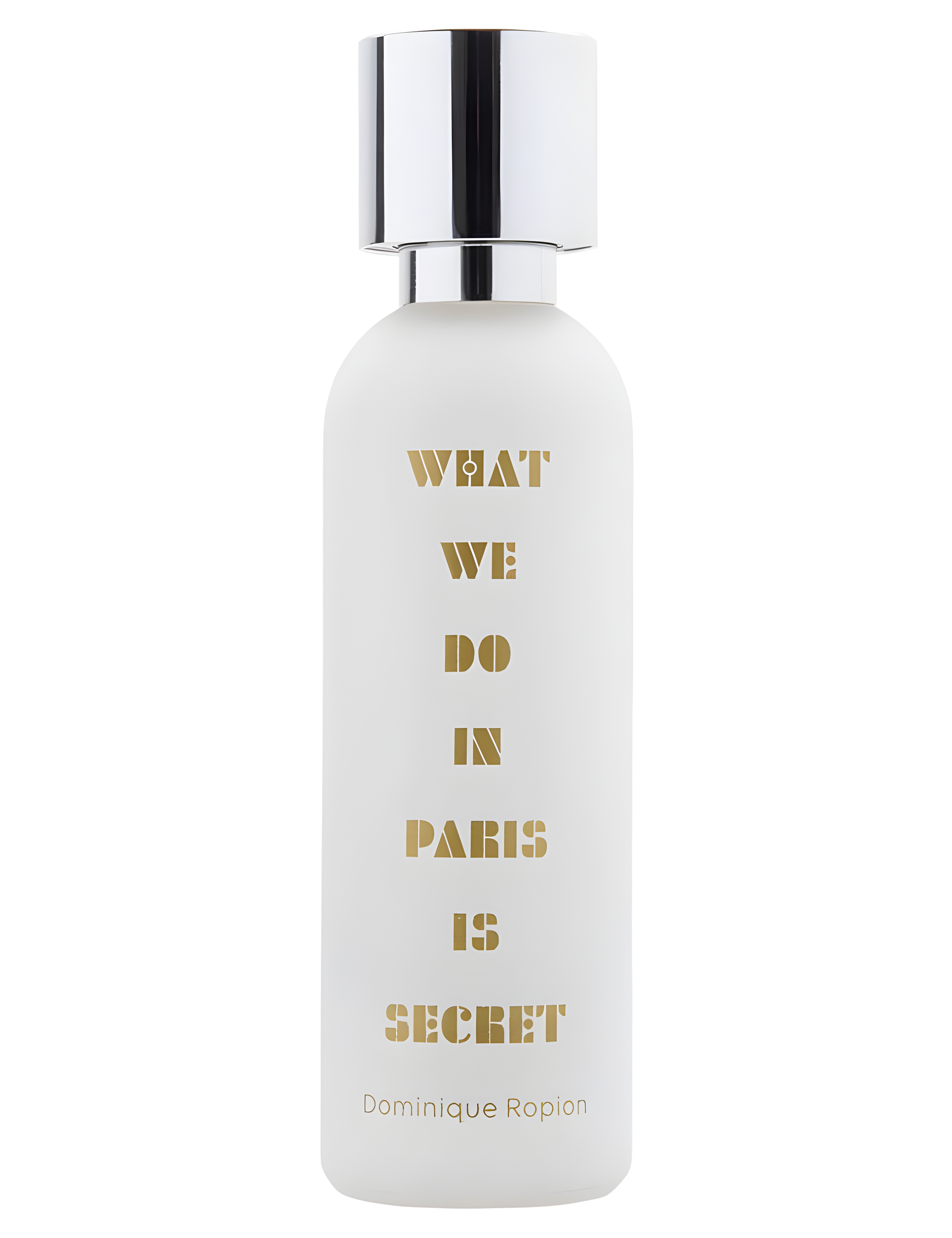 What We Do in Paris Is Secret by What We Do Is Secret perfume bottle