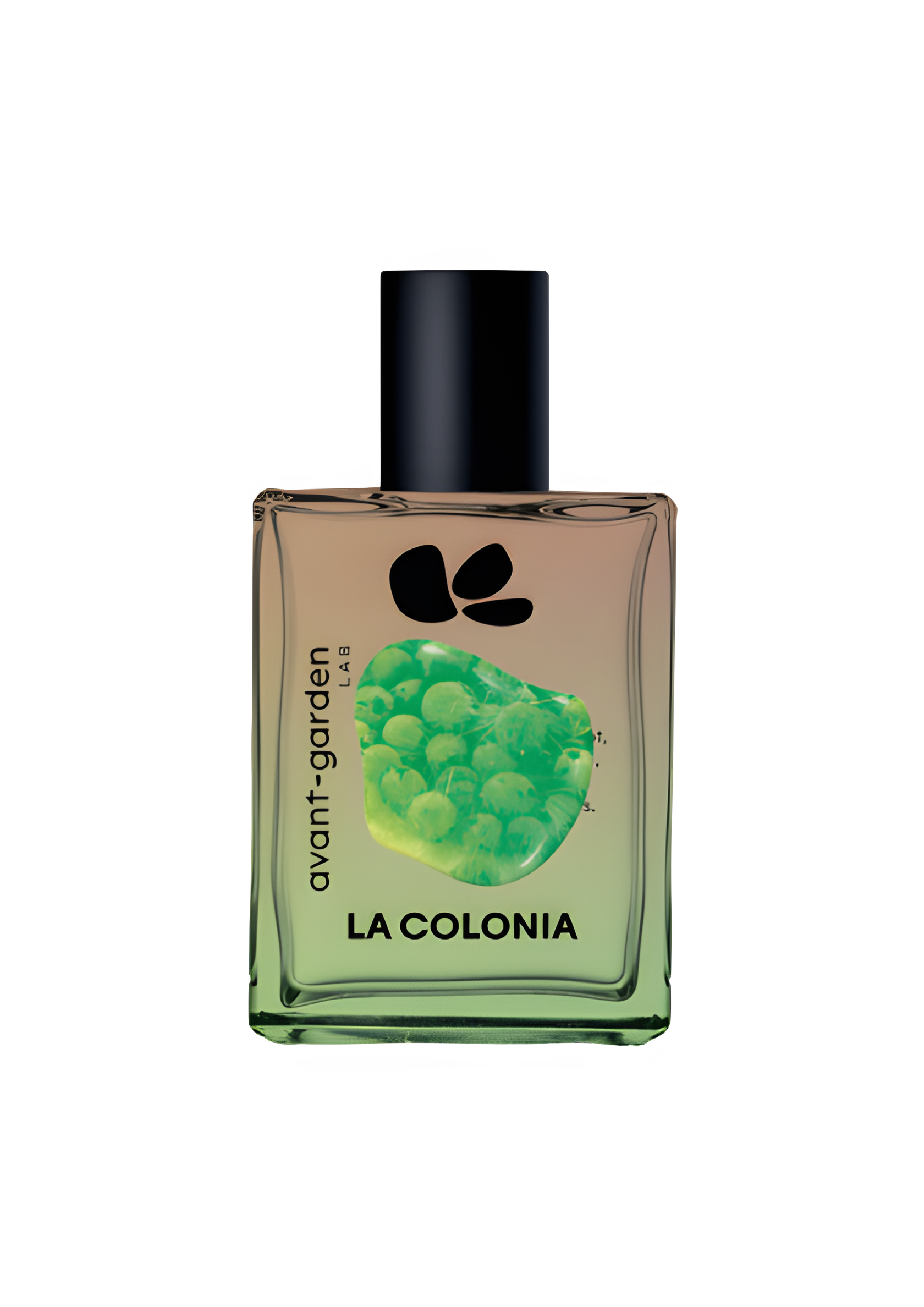 La Colonia by Avant-Garden Lab perfume bottle