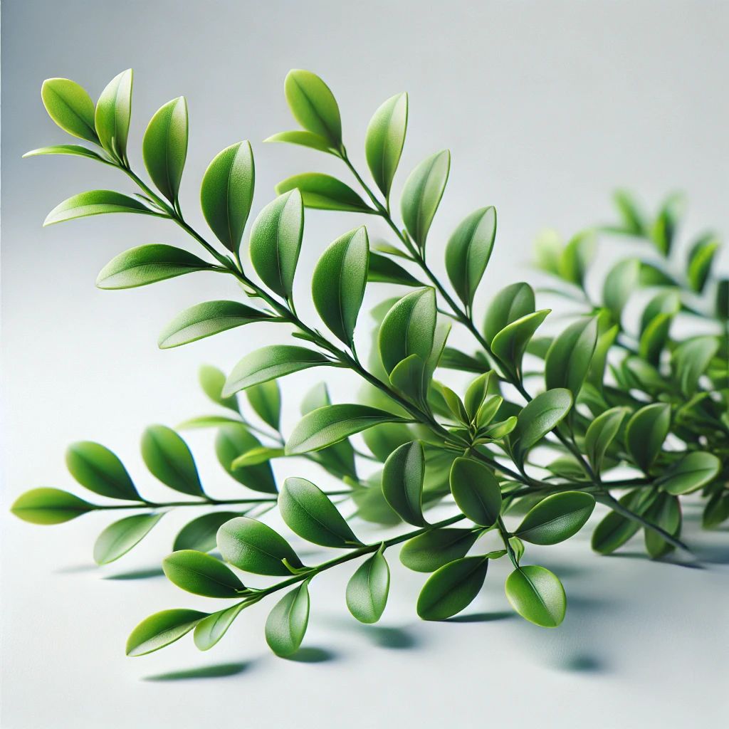 Picture of Green Branches note