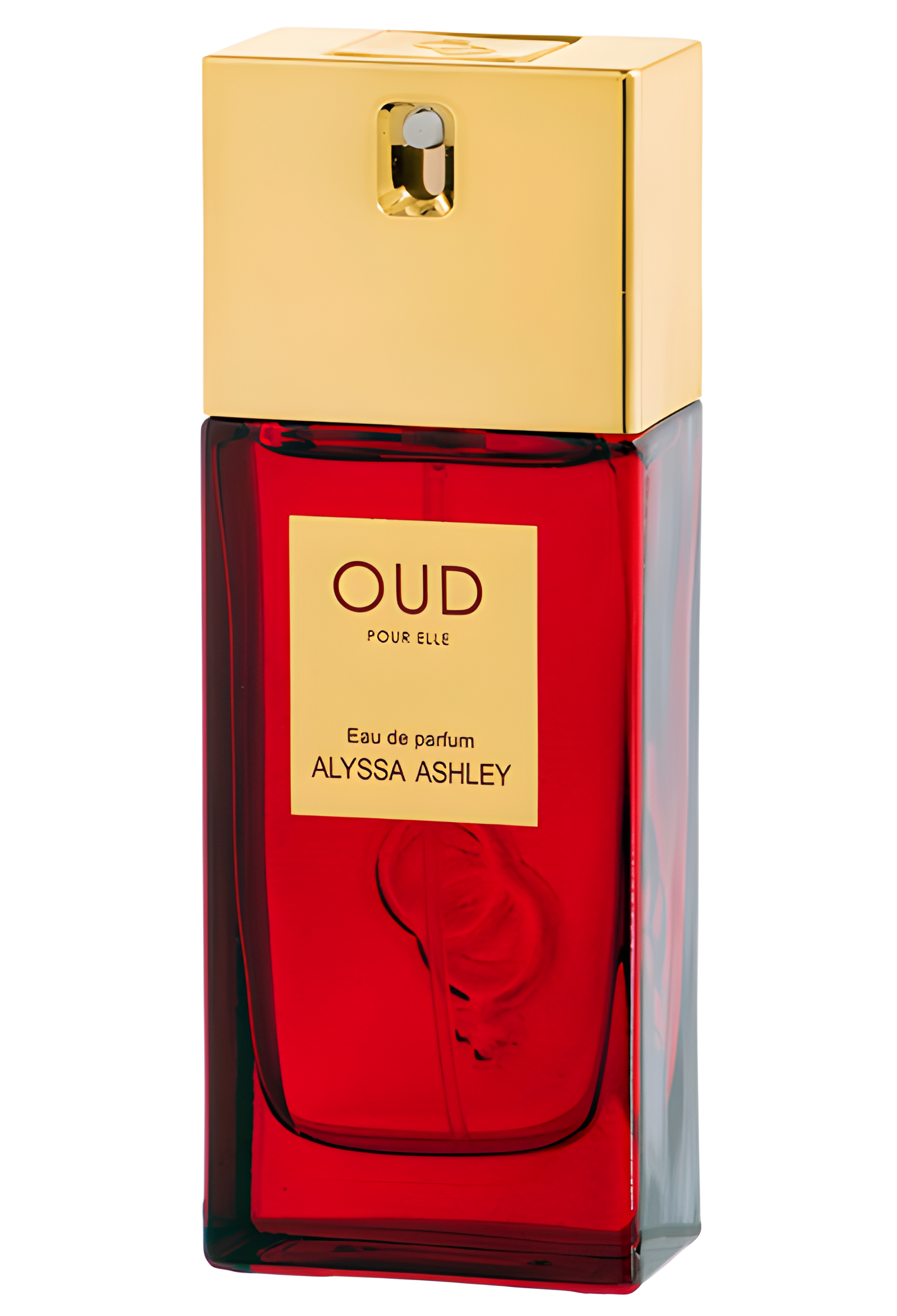 Oud Pour Elle by Alyssa Ashley perfume bottle