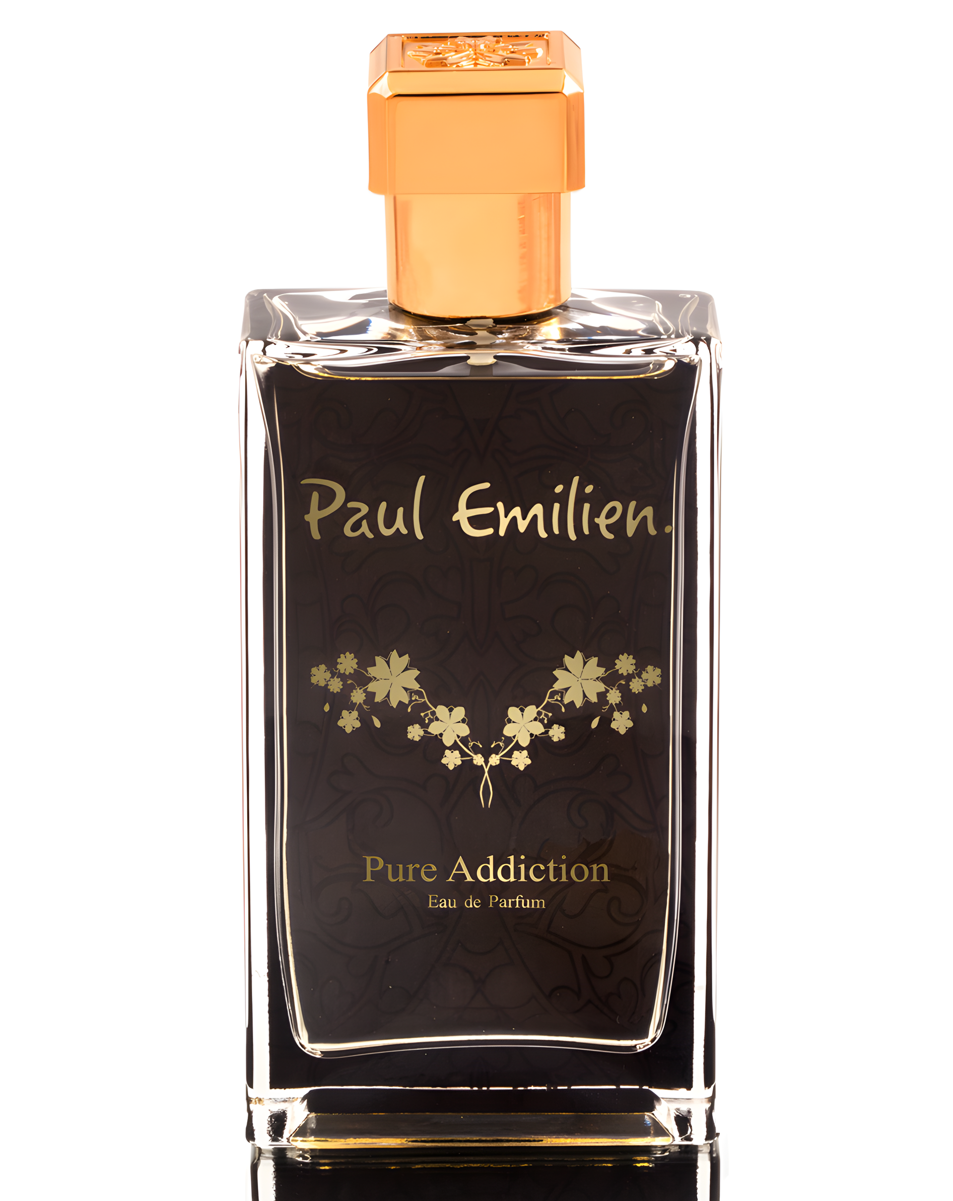 Pure Addiction by Paul Emilien perfume bottle