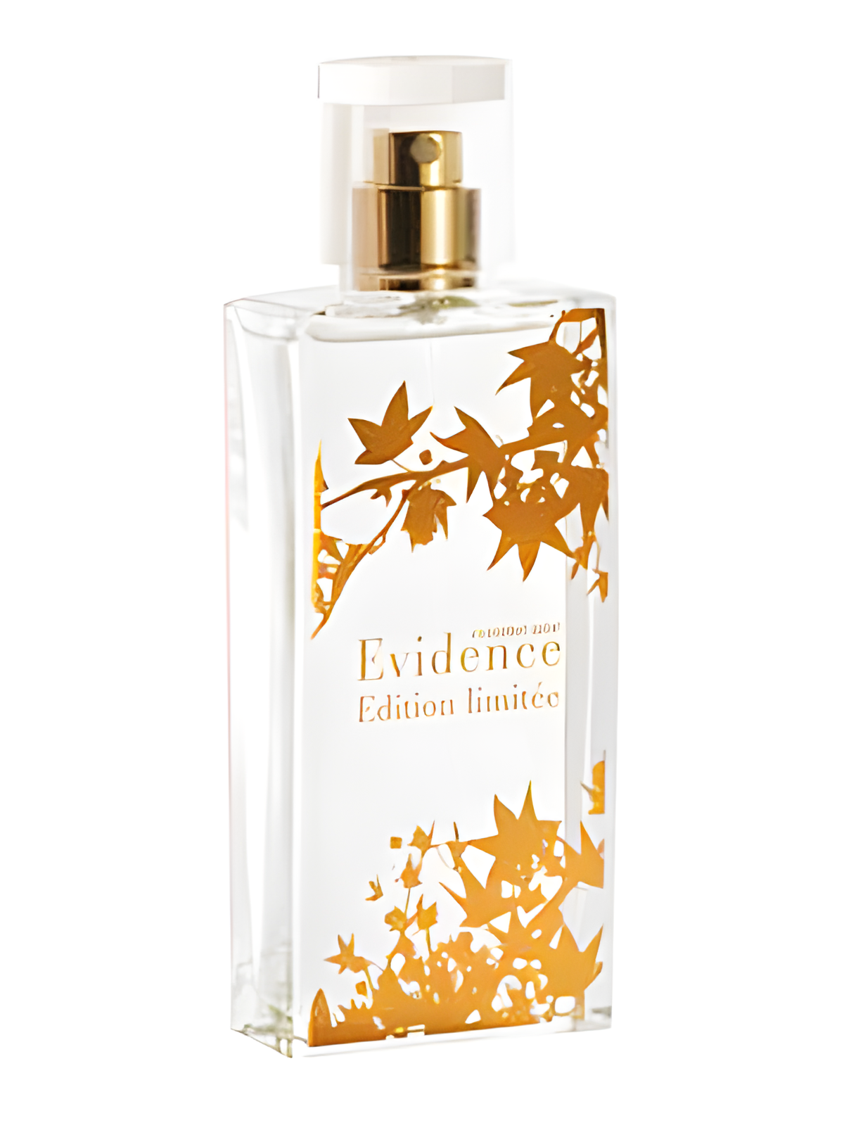 Comme Une Evidence Limited Edition 2008 by Yves Rocher perfume bottle