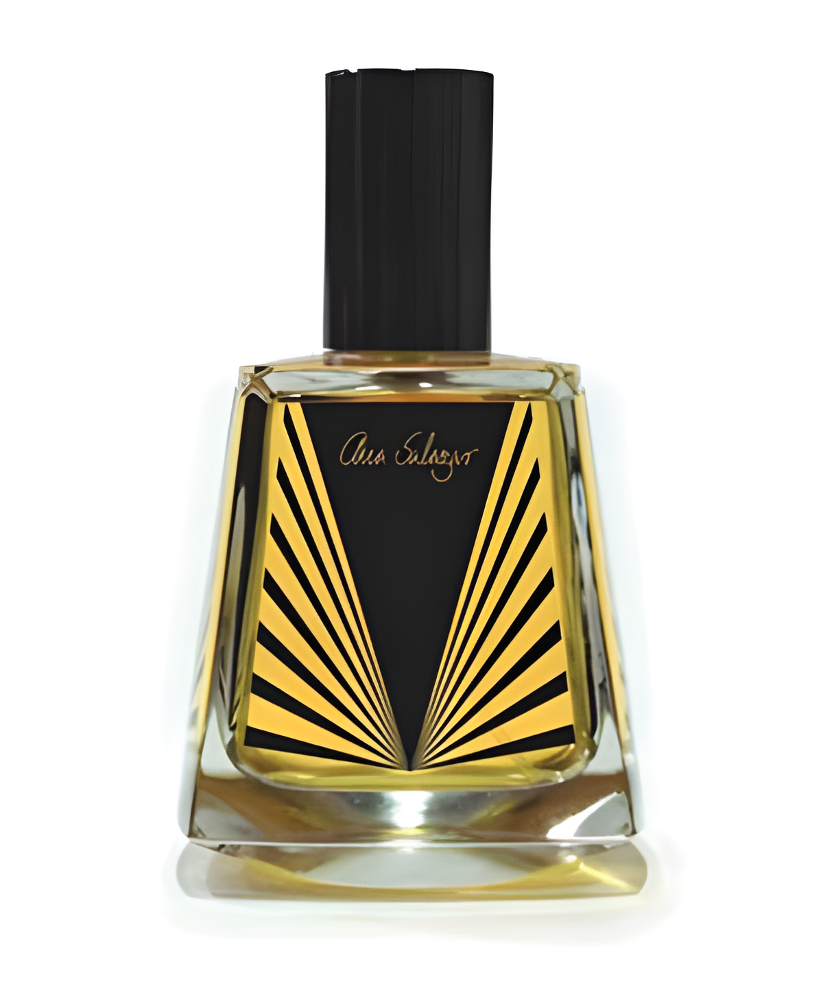 Ana Salazar Vintage by Ana Salazar perfume bottle
