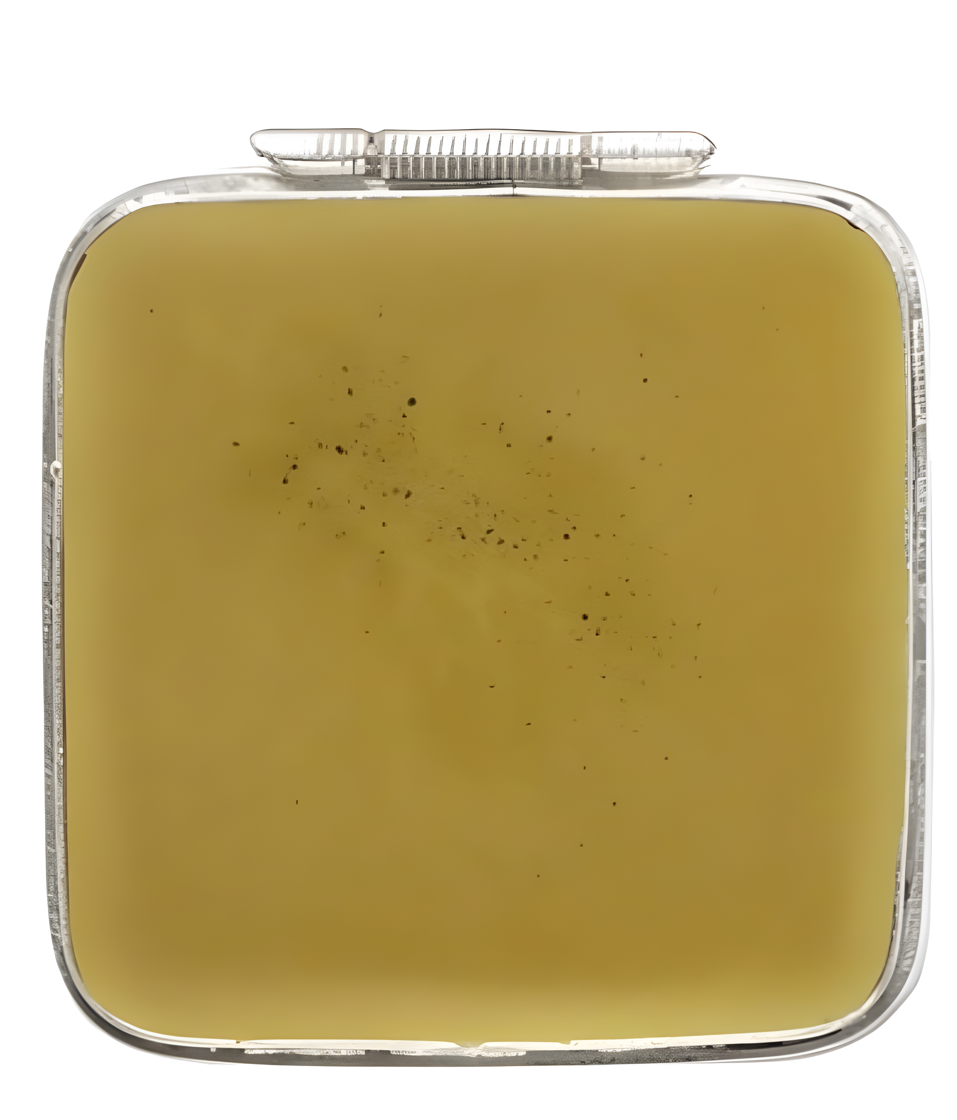 Antique Ambergris by Aftelier perfume bottle