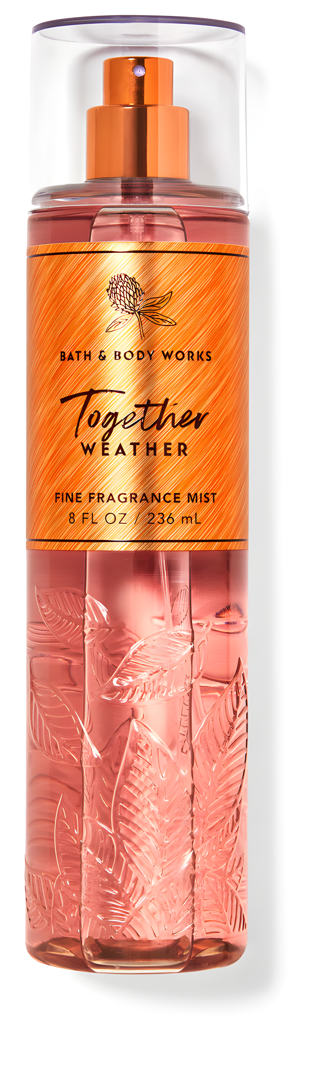 Together Weather by Bath & Body Works perfume bottle