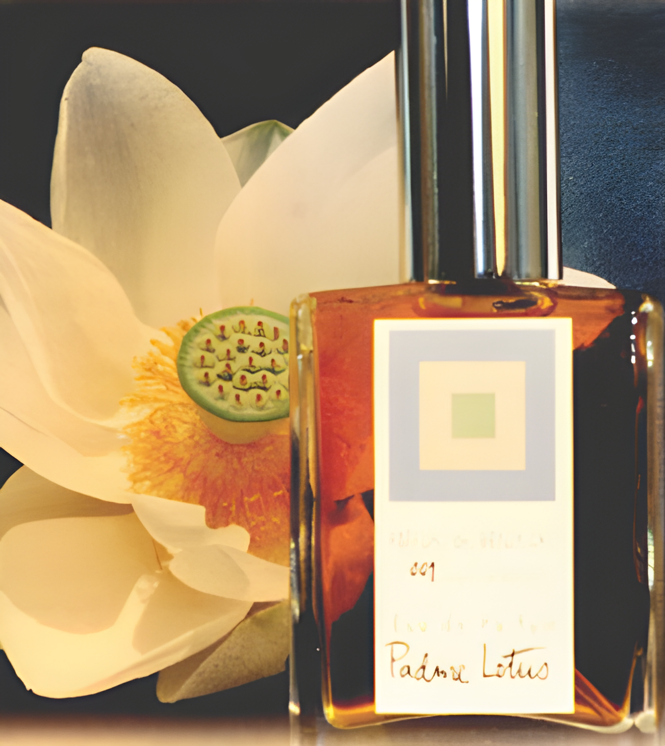 Padme Lotus by DSH Perfumes perfume bottle
