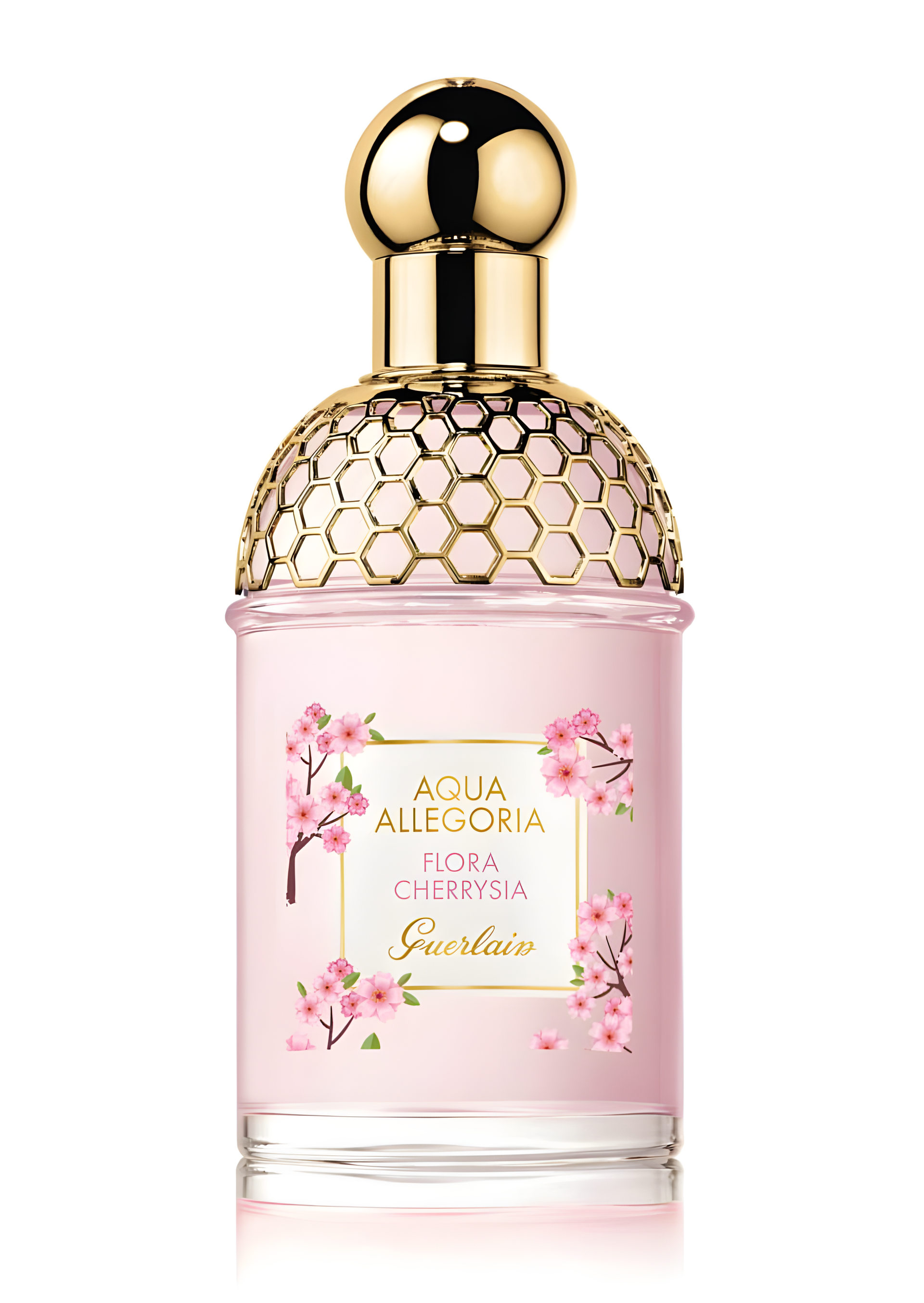 Aqua Allegoria Flora Cherrysia (Sakura Collection 2020) by Guerlain perfume bottle