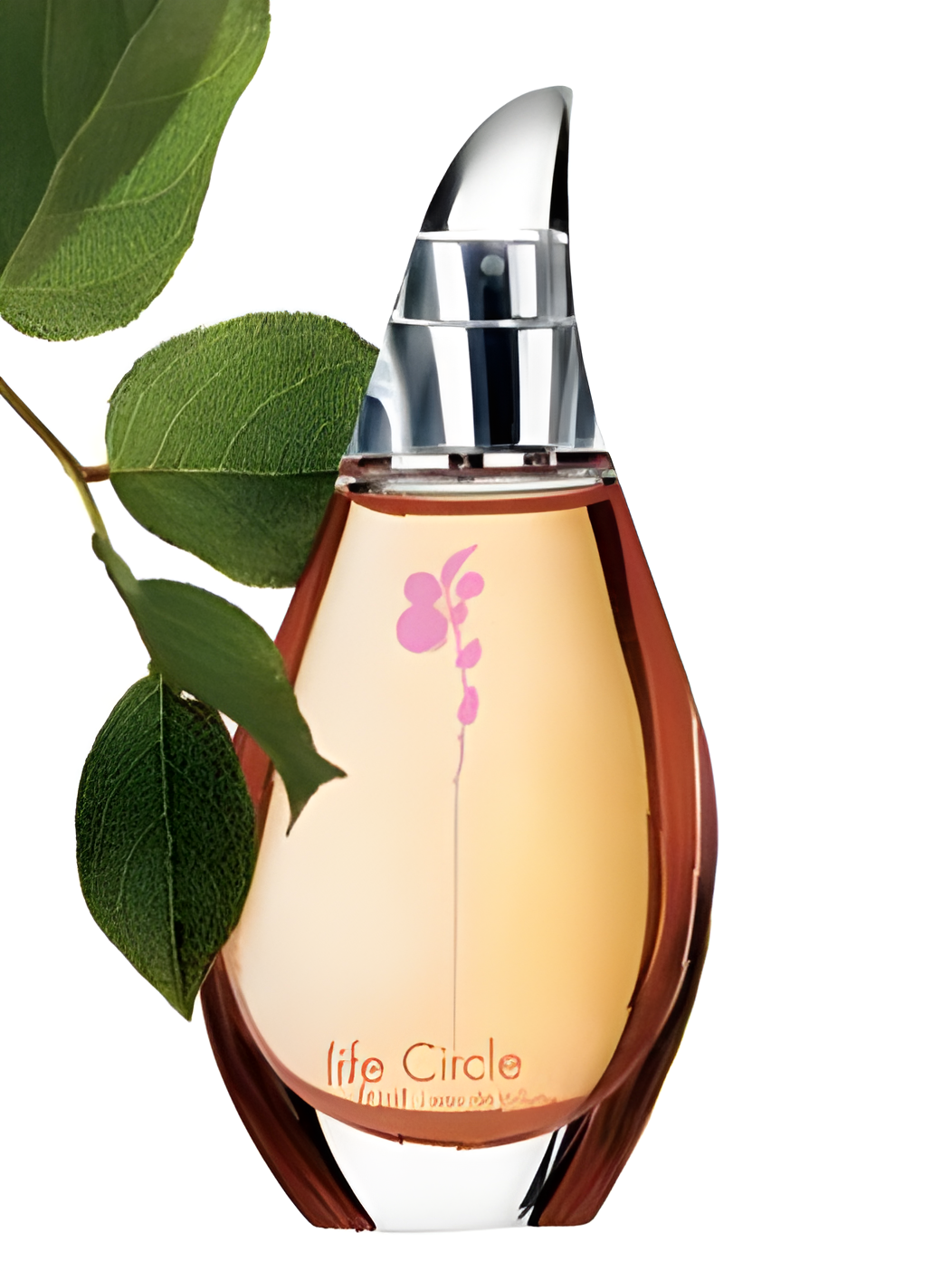 Life Circle Fruit by Oriflame perfume bottle