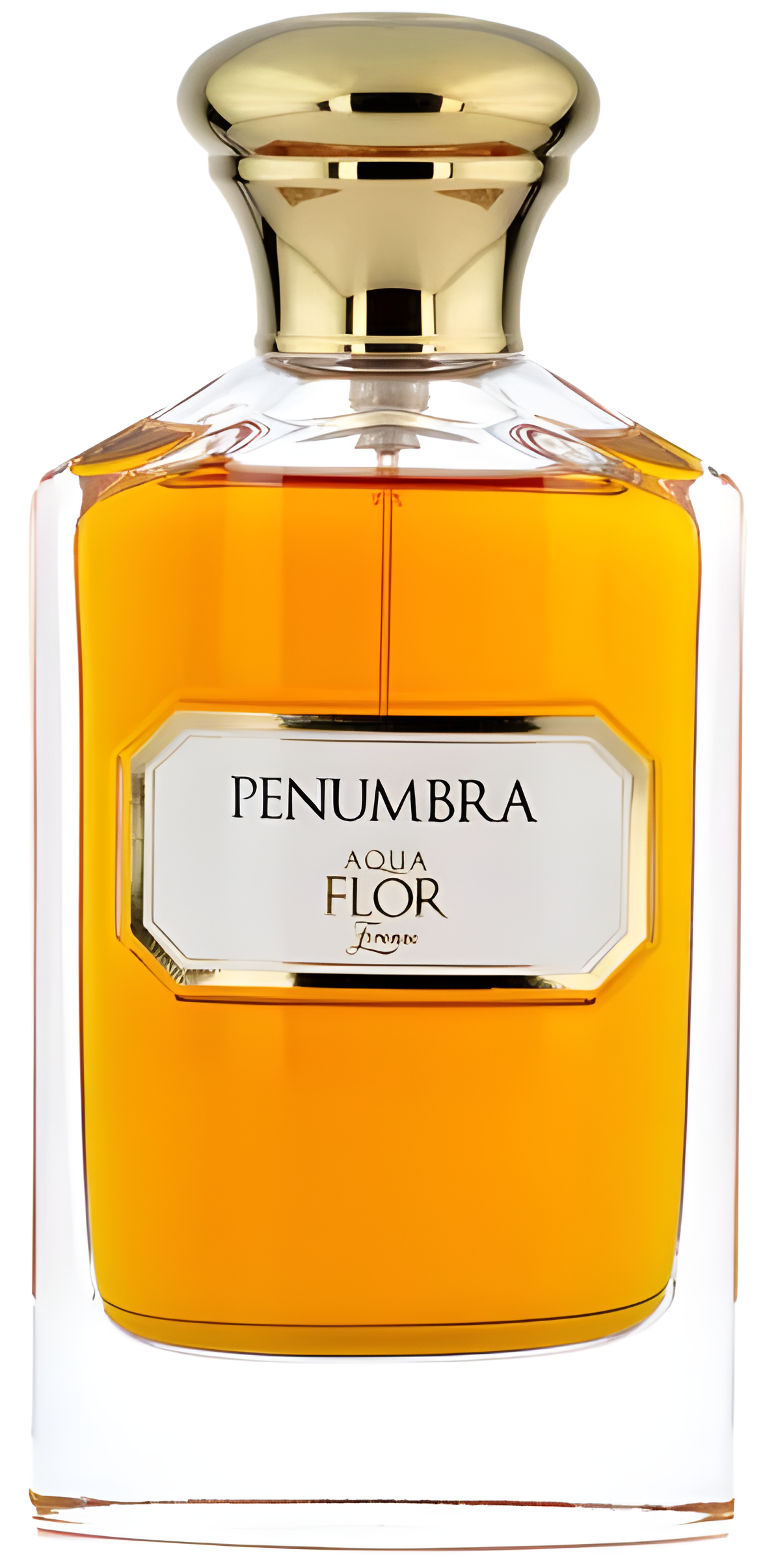 Penumbra by Aquaflor Firenze perfume bottle