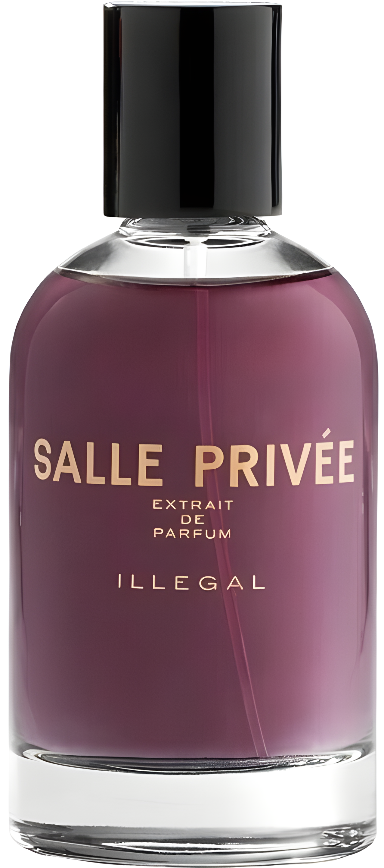 Illegal by Salle Privée perfume bottle