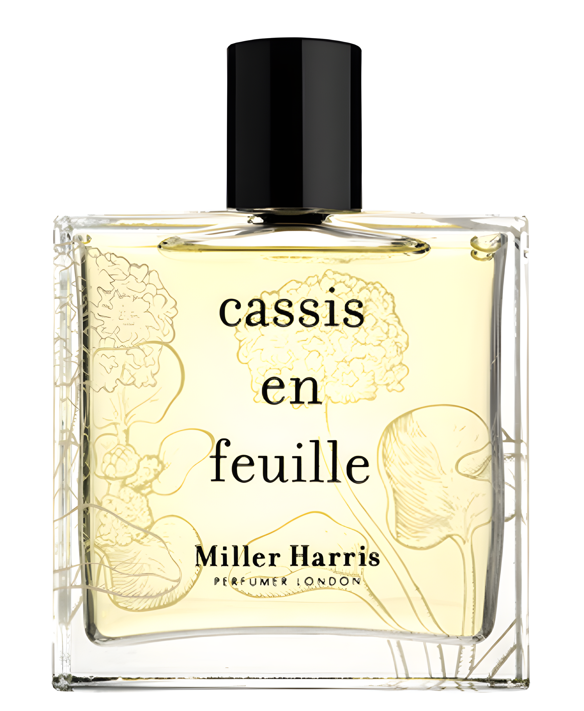 Cassis en Feuille by Miller Harris perfume bottle