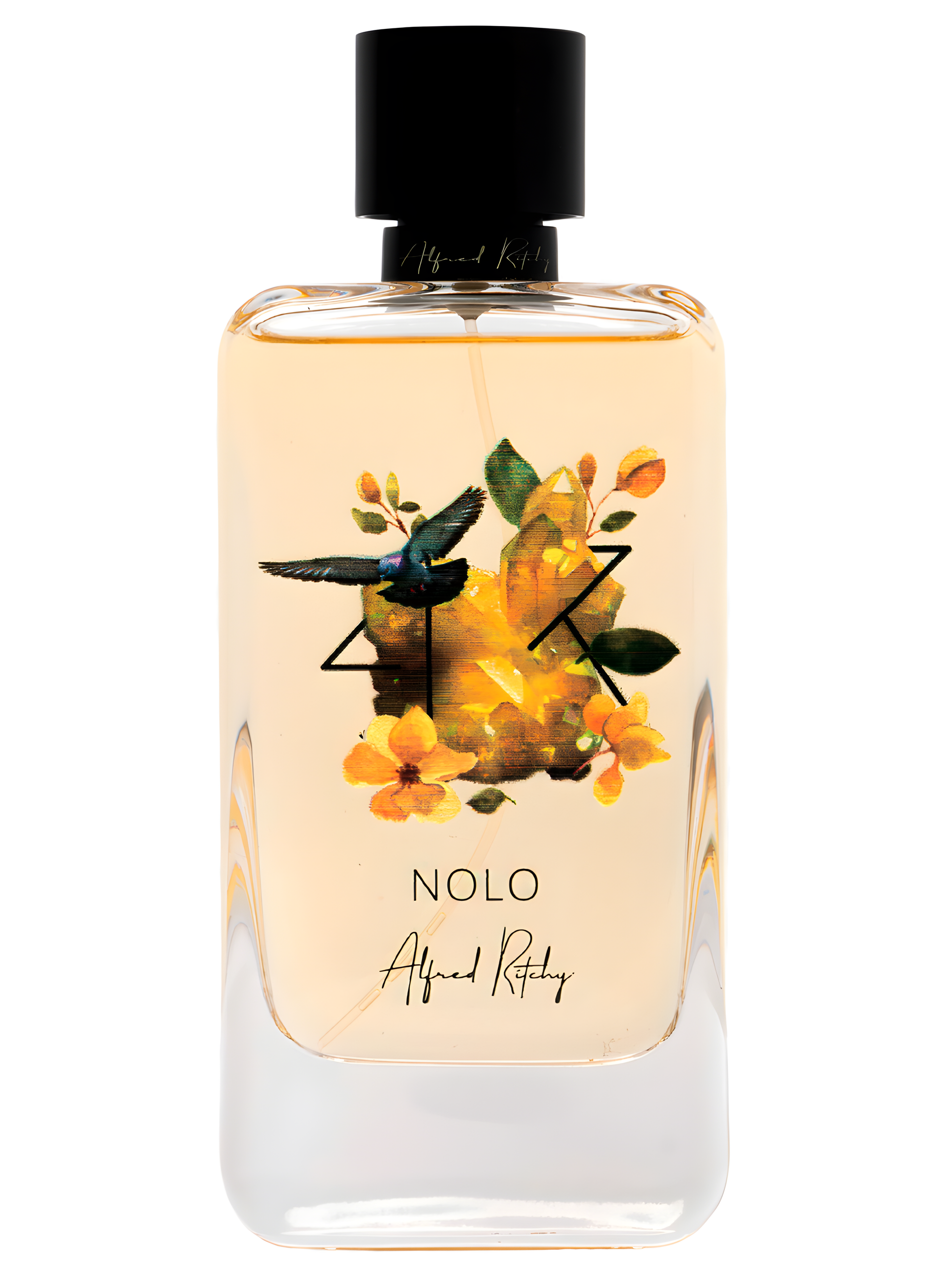 Nolo by Alfred Ritchy perfume bottle