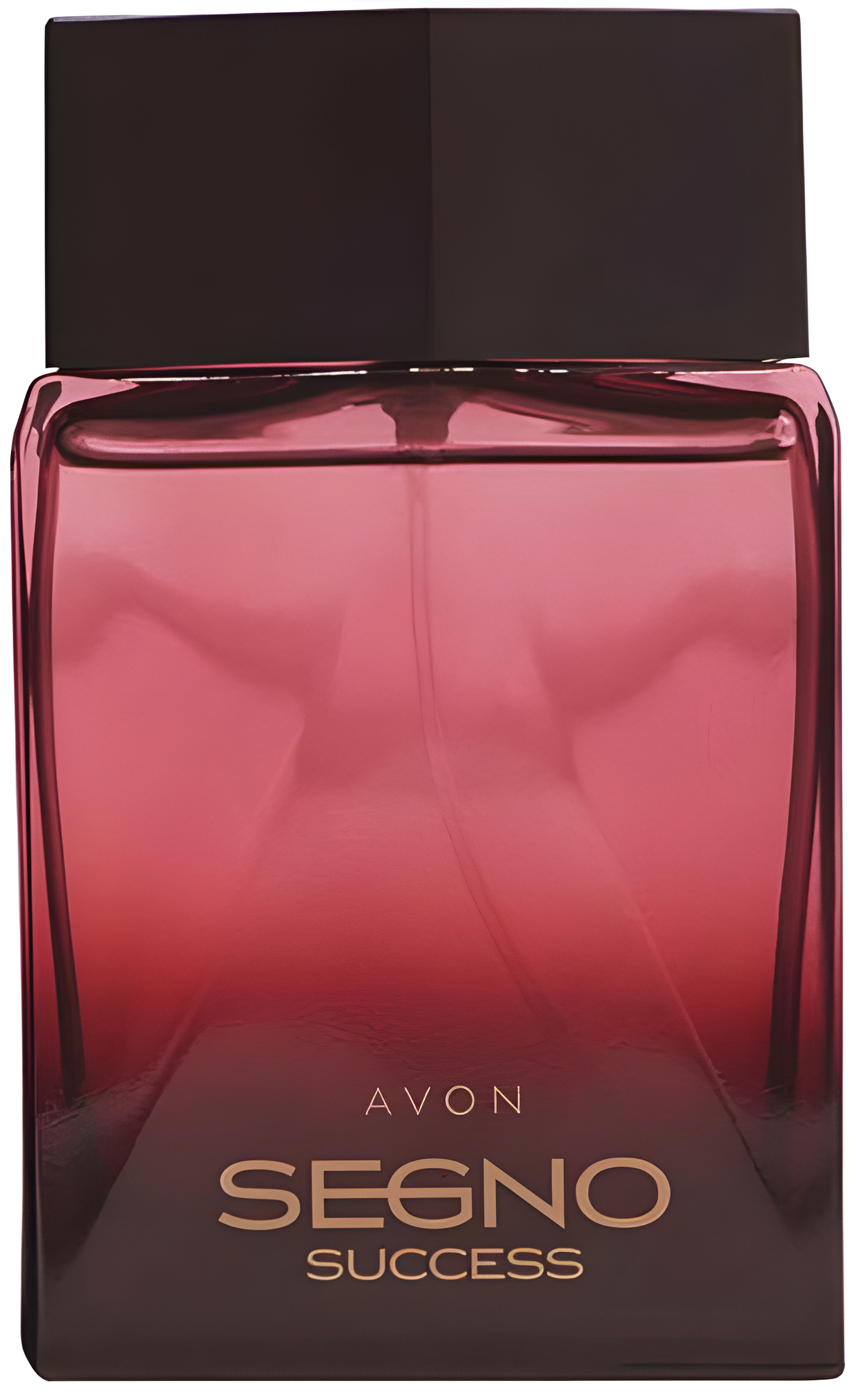 Segno Success by Avon perfume bottle