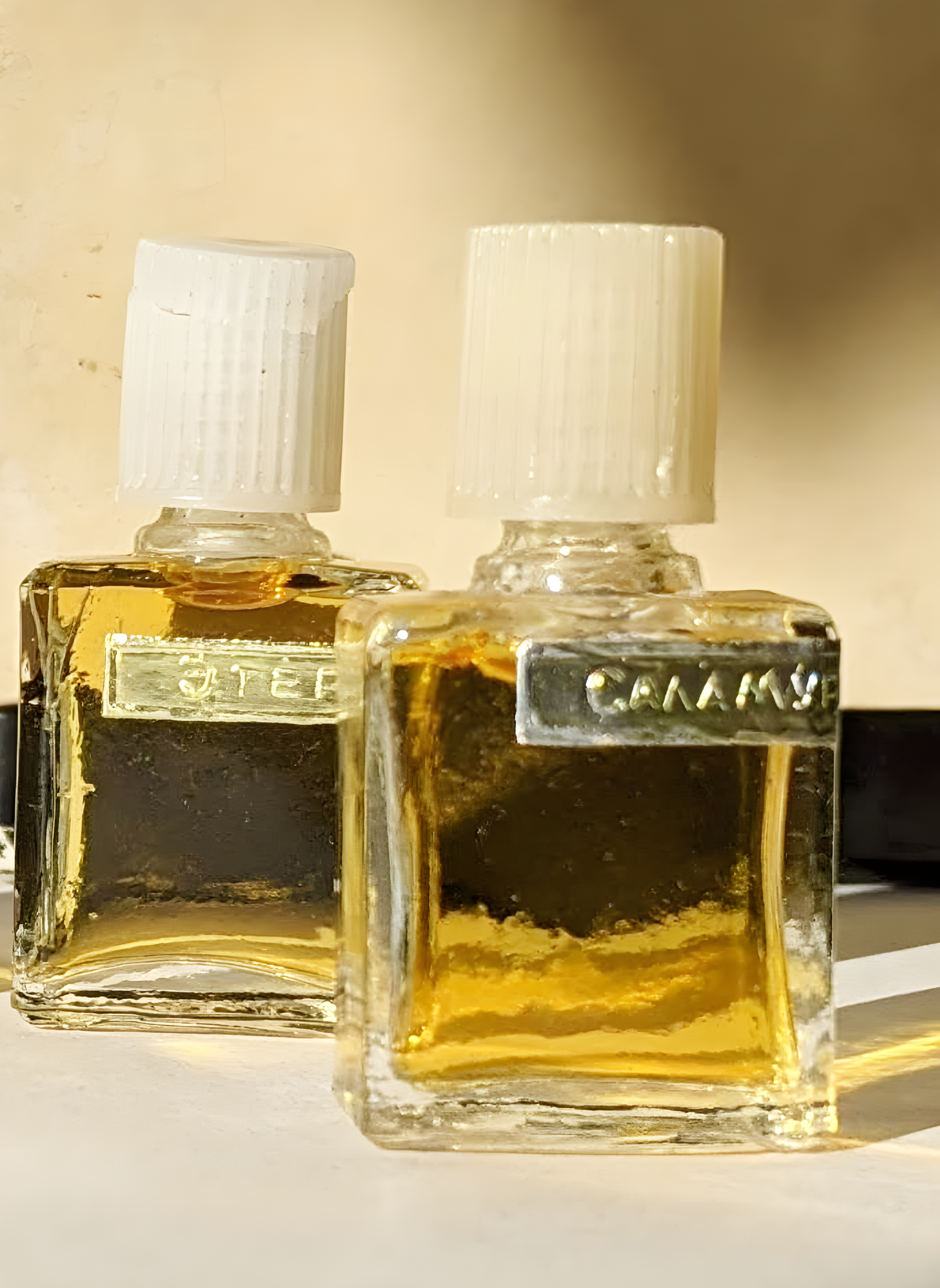 Salamuri - Саламури by Iberia - Иверия perfume bottle