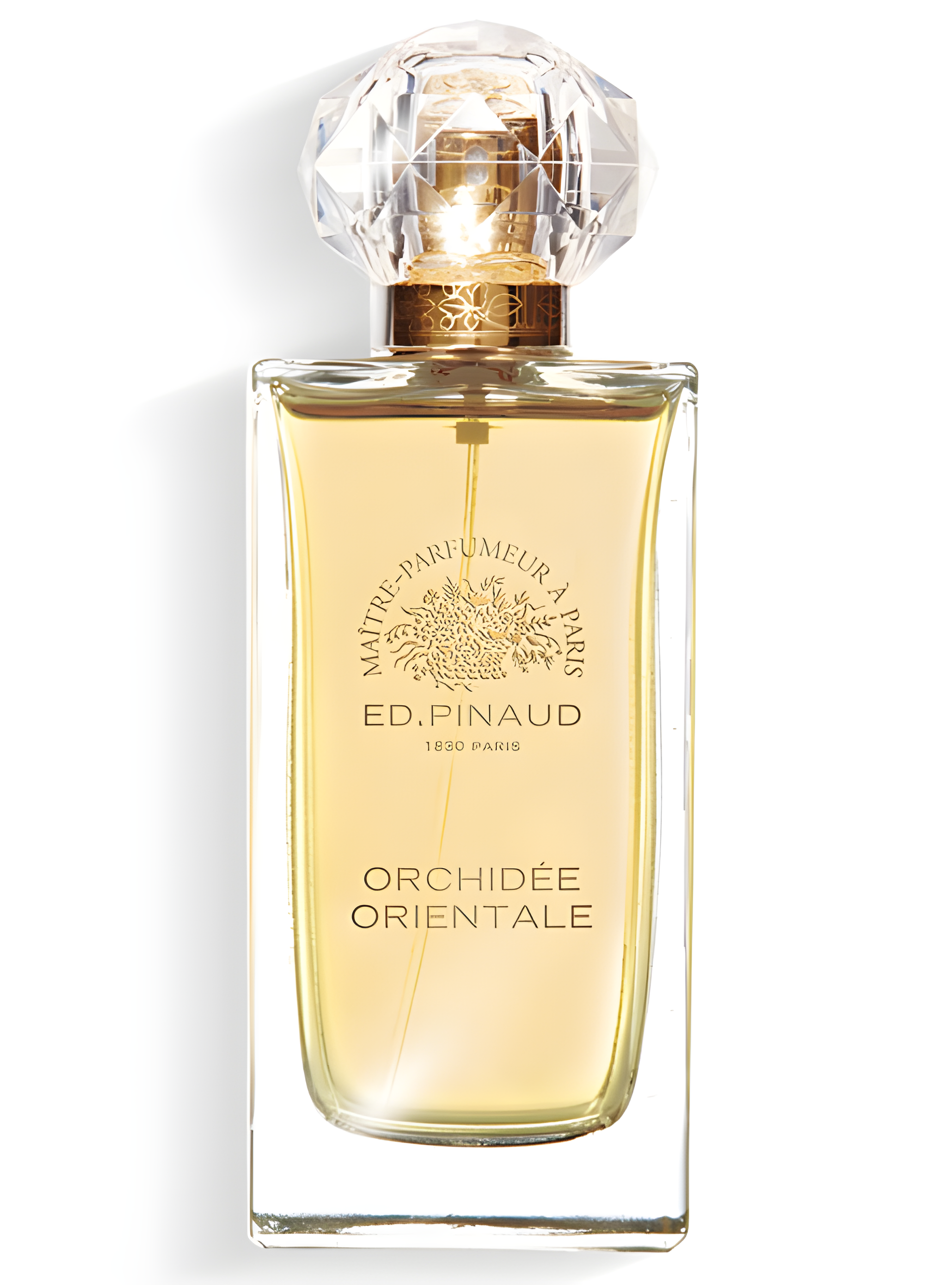 Orchidée Orientale by Ed Pinaud perfume bottle