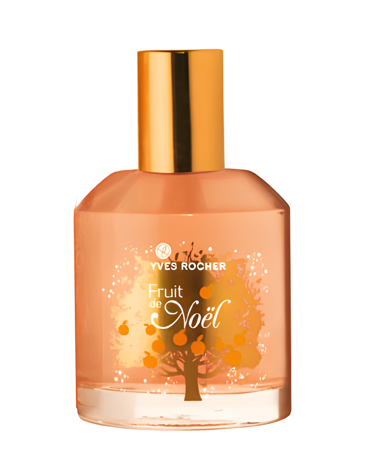Fruit de Noel by Yves Rocher