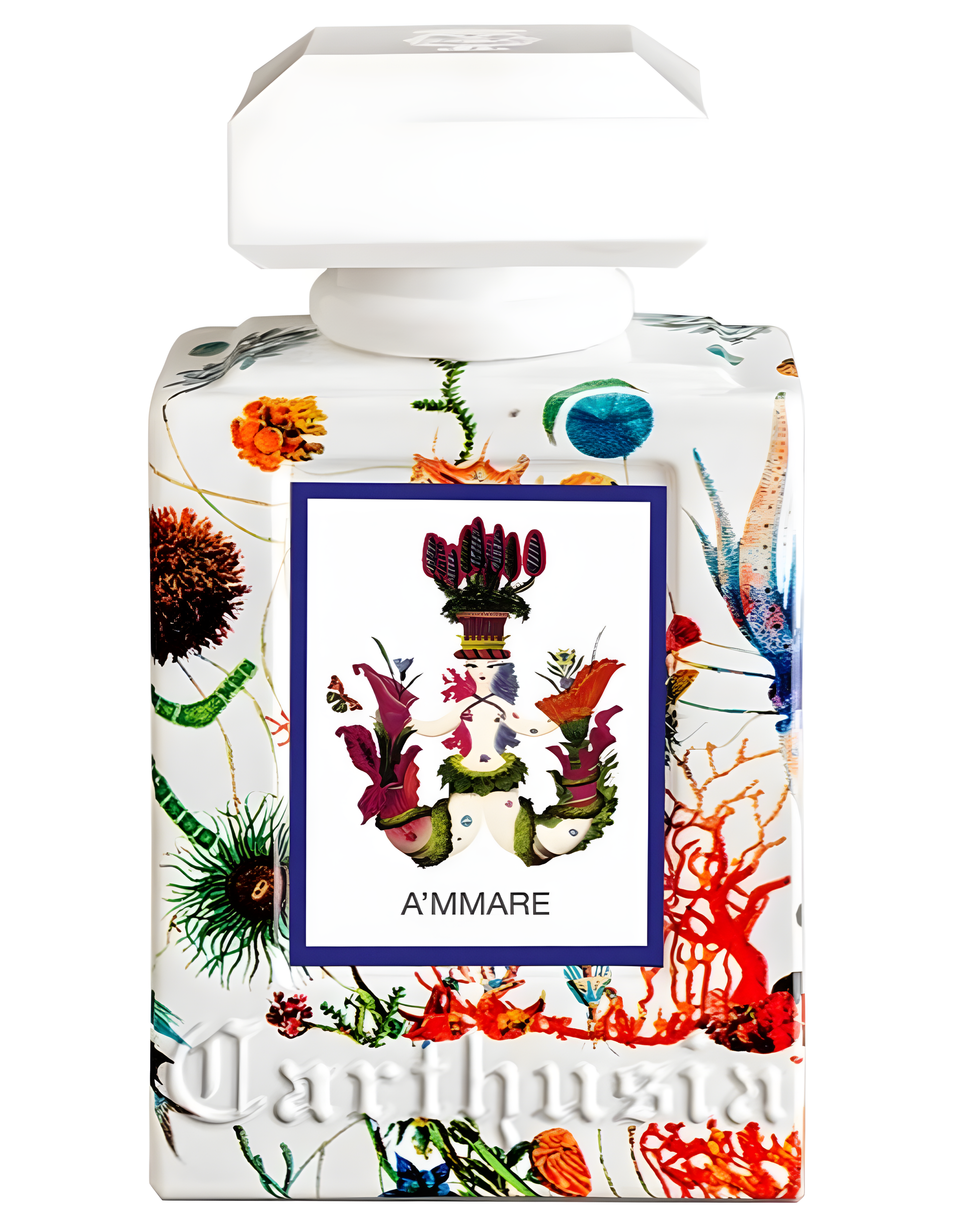 A'mmare by Carthusia perfume bottle