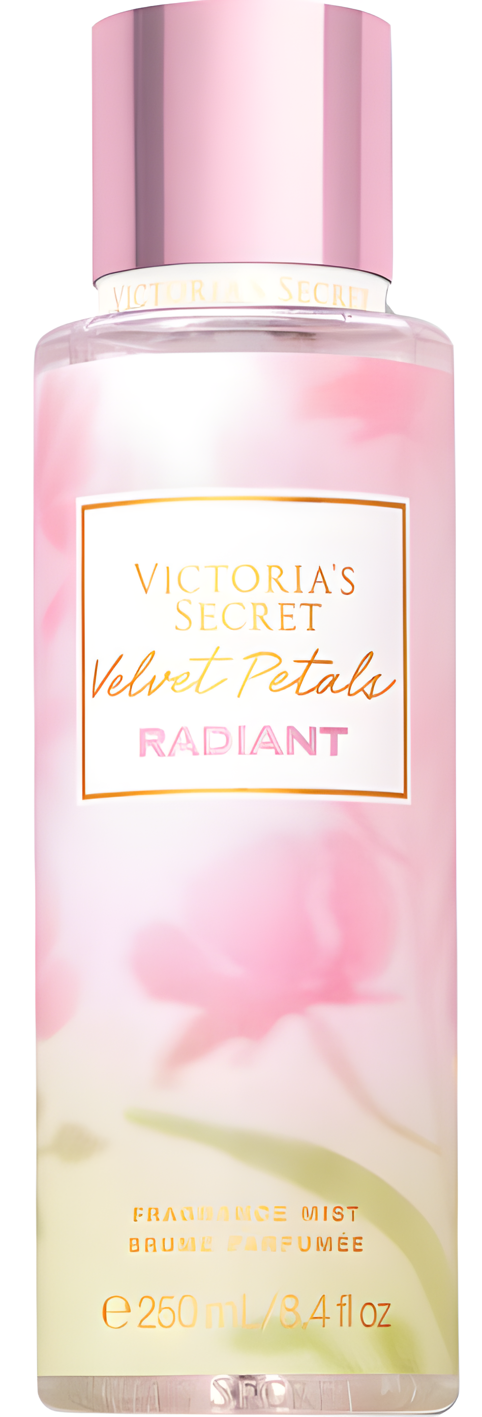 Velvet Petals Radiant by Victoria's Secret perfume bottle