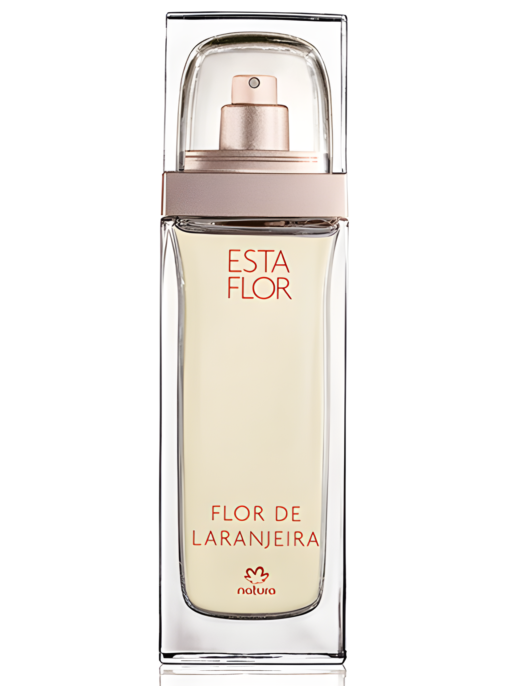 Esta Flor Flor de Laranjeira by Natura perfume bottle