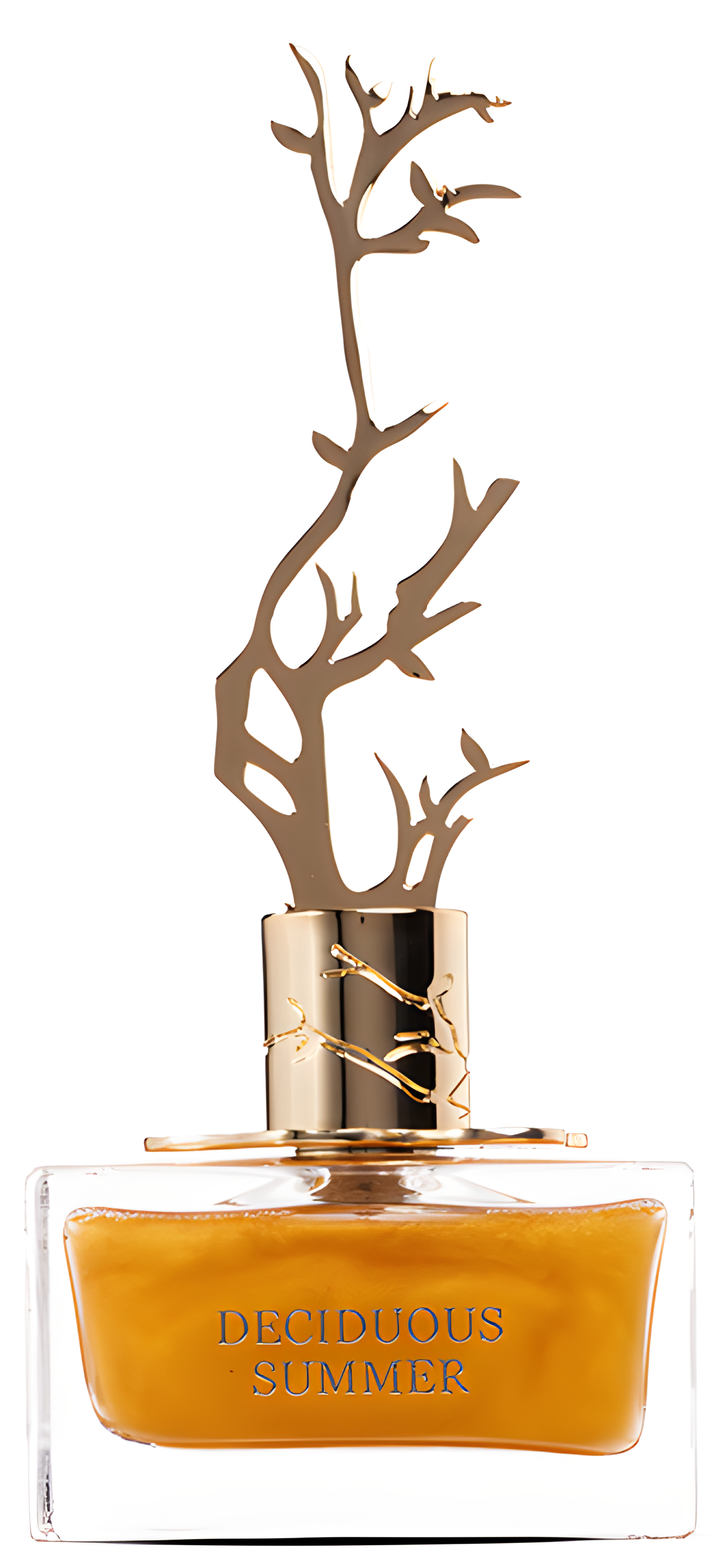 Deciduous Summer by Aurora Scents perfume bottle