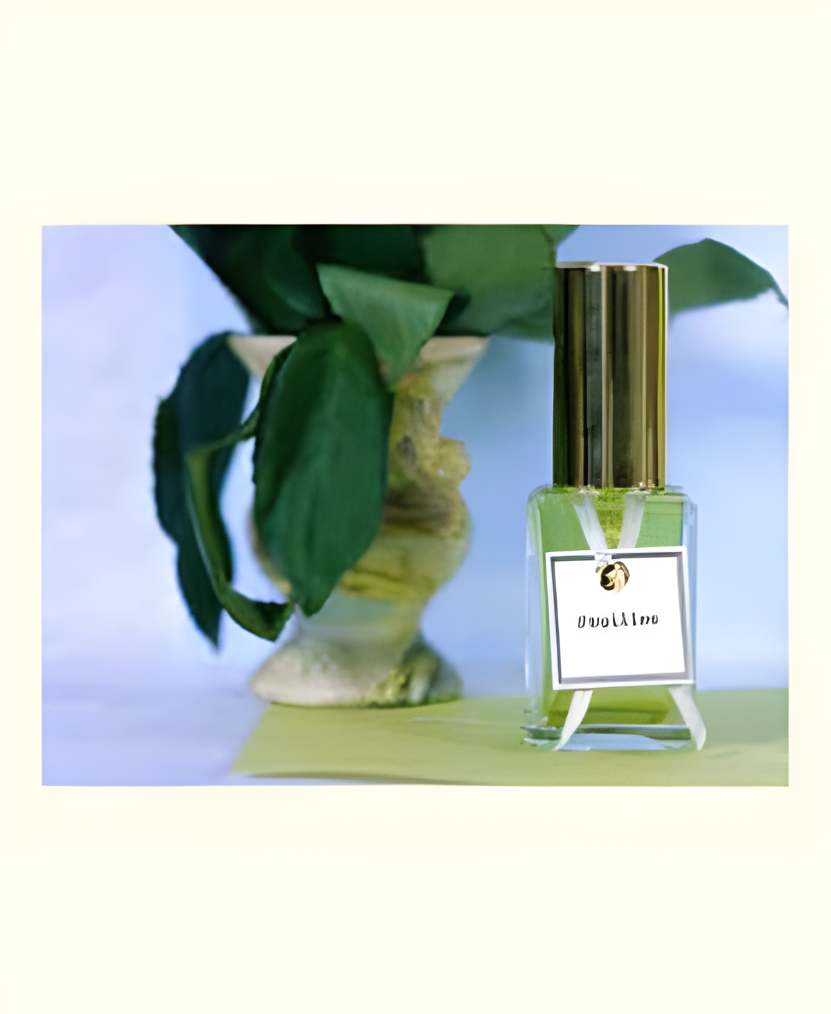 Feuilles Vertes (Green Leaves) by DSH Perfumes perfume bottle