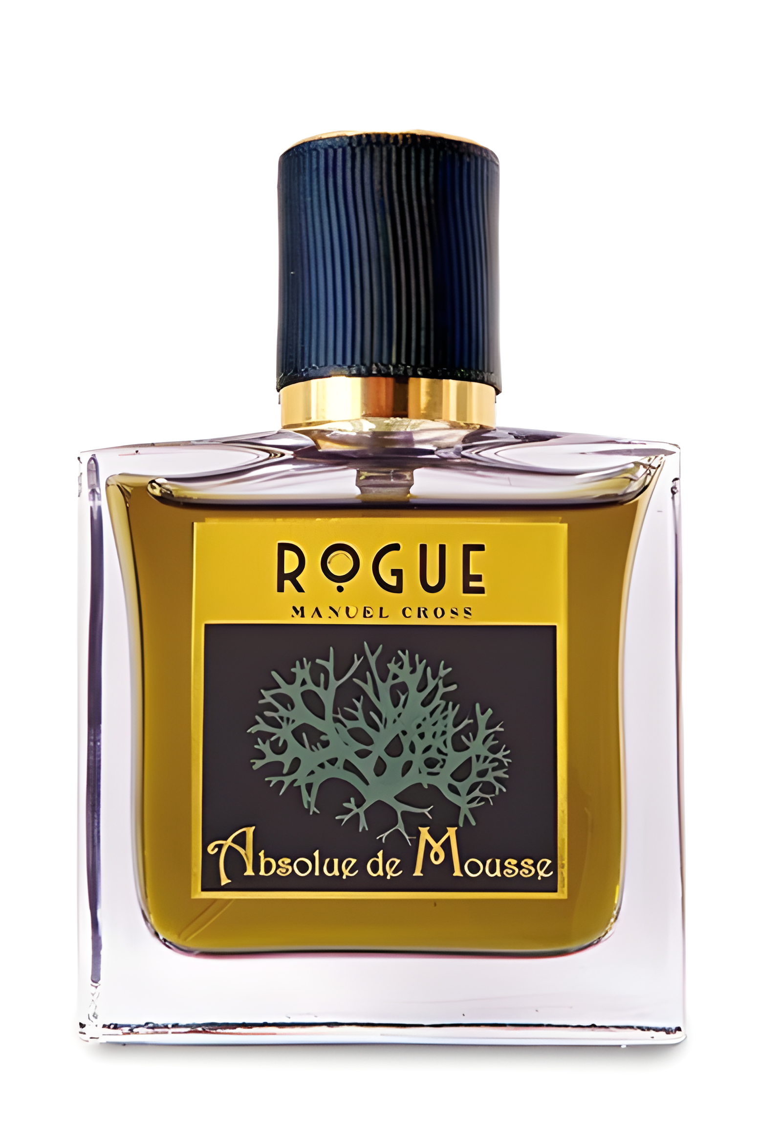 Absolue de Mousse by Rogue Perfumery perfume bottle